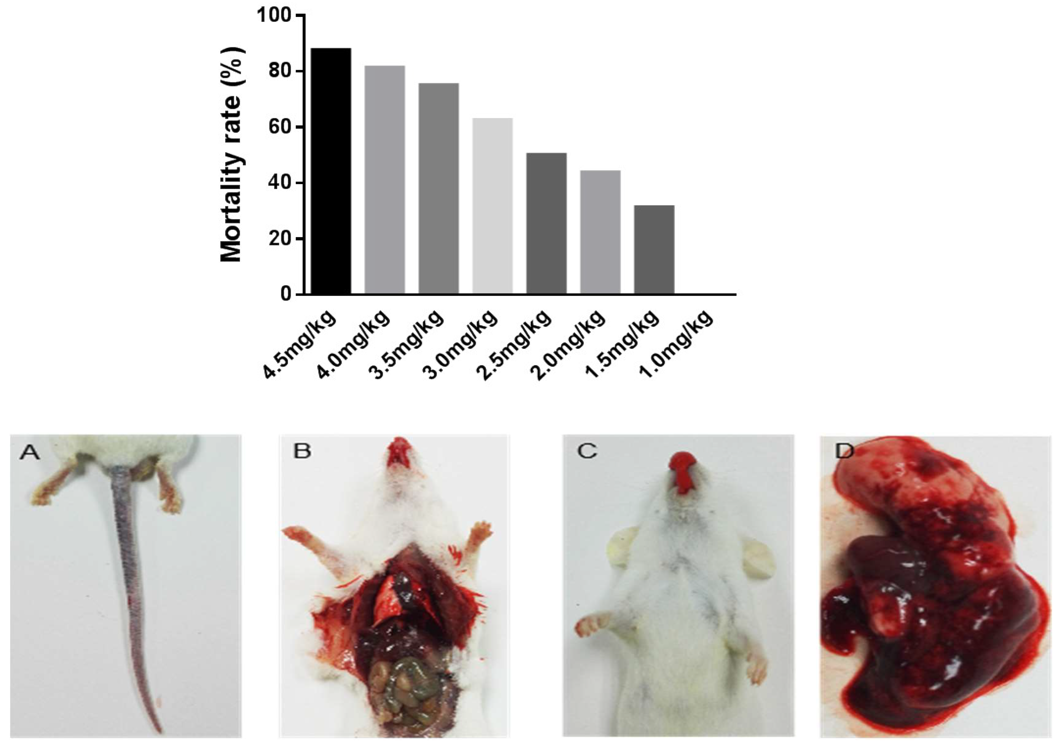 Molecules 27 02229 g006