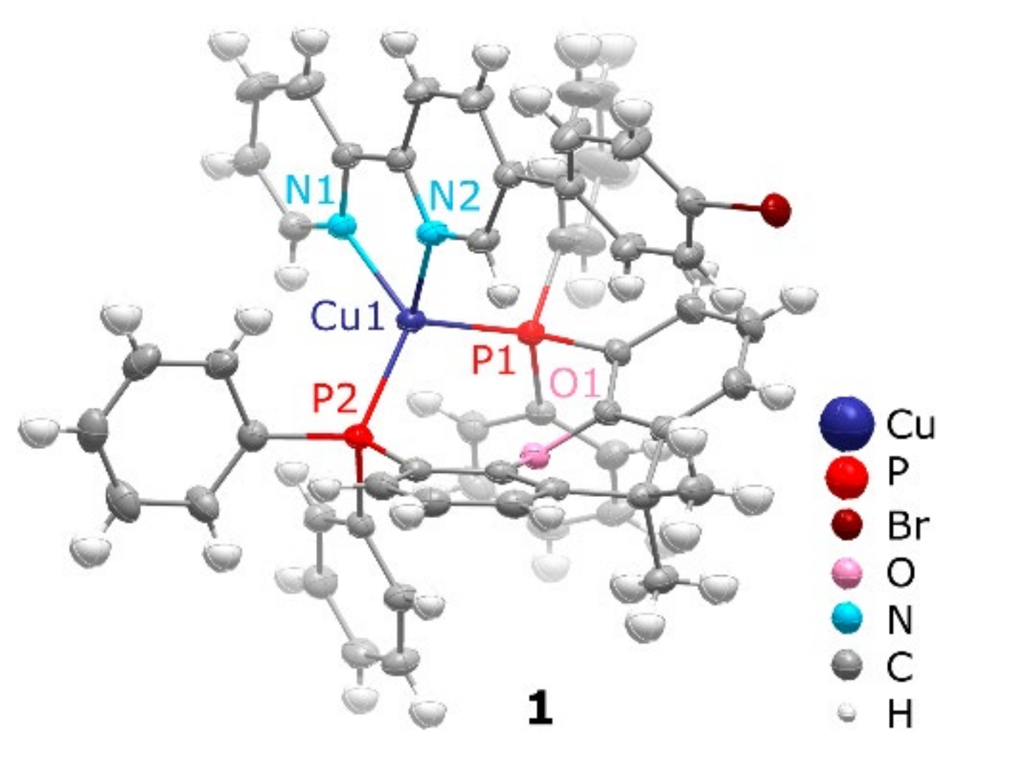 Molecules 27 02250 g001