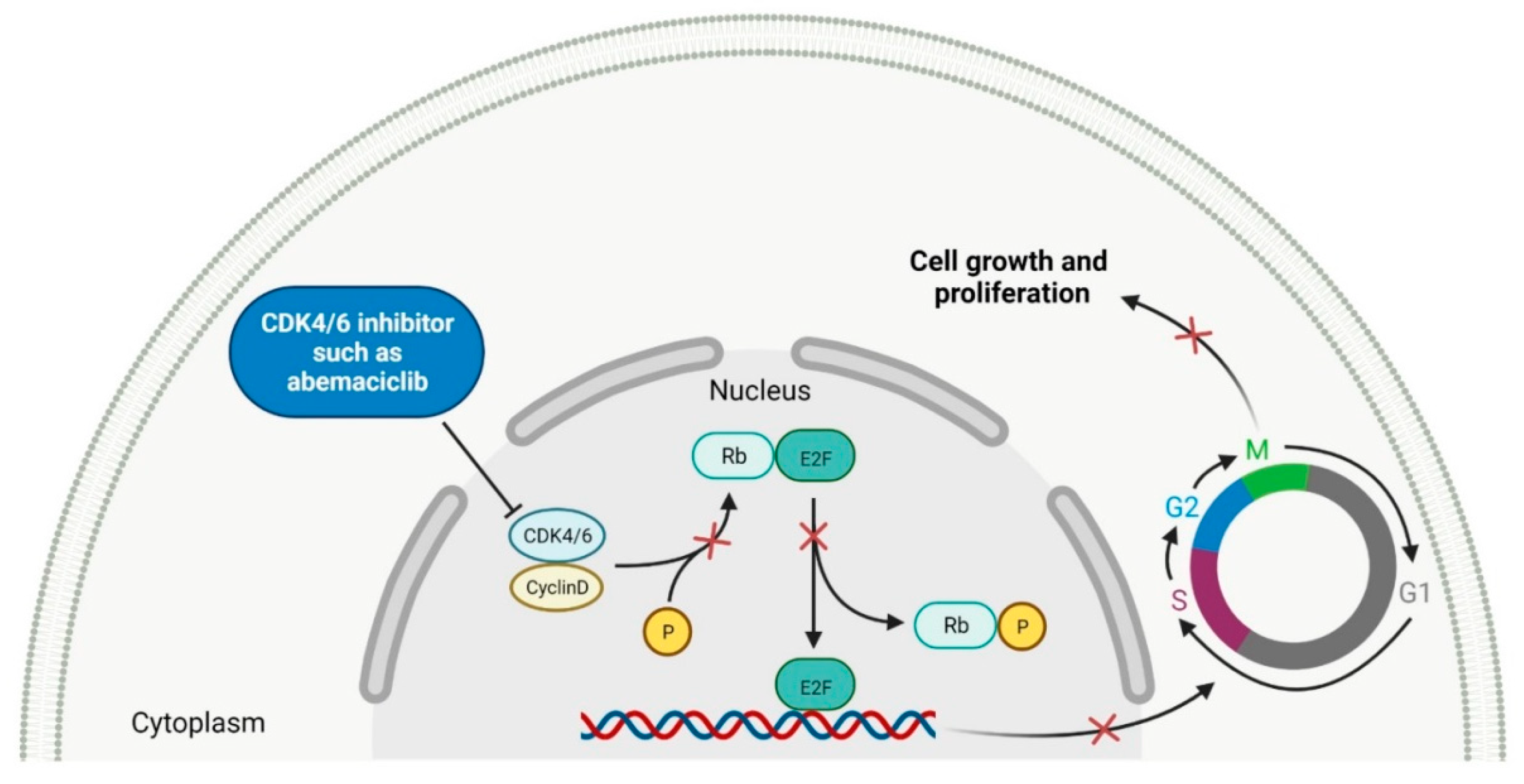 Molecules 27 02259 g002