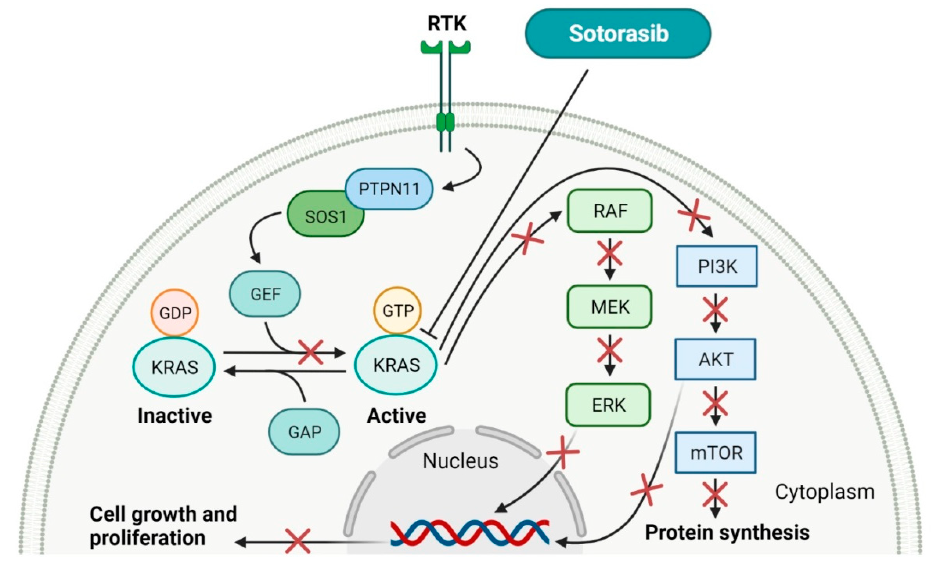 Molecules 27 02259 g005