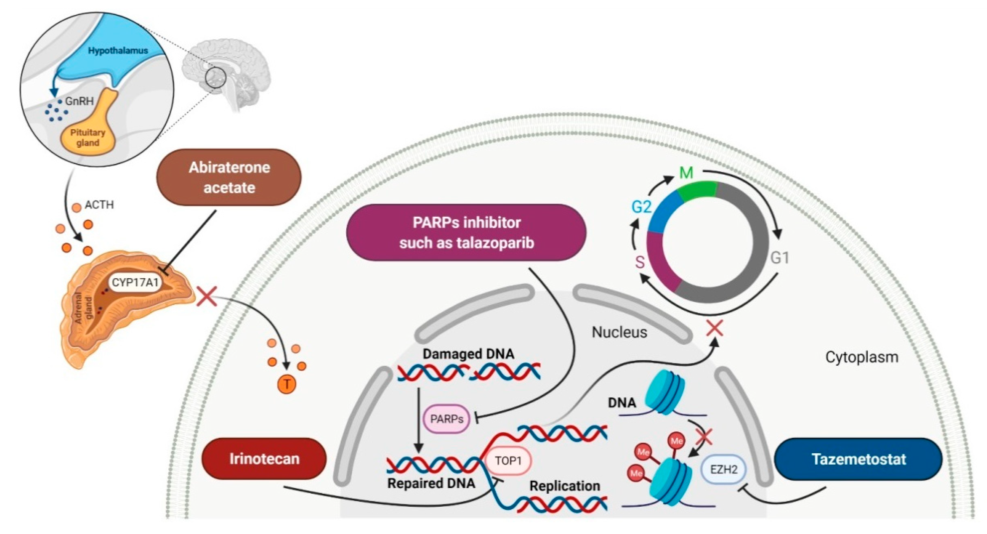 Molecules 27 02259 g006
