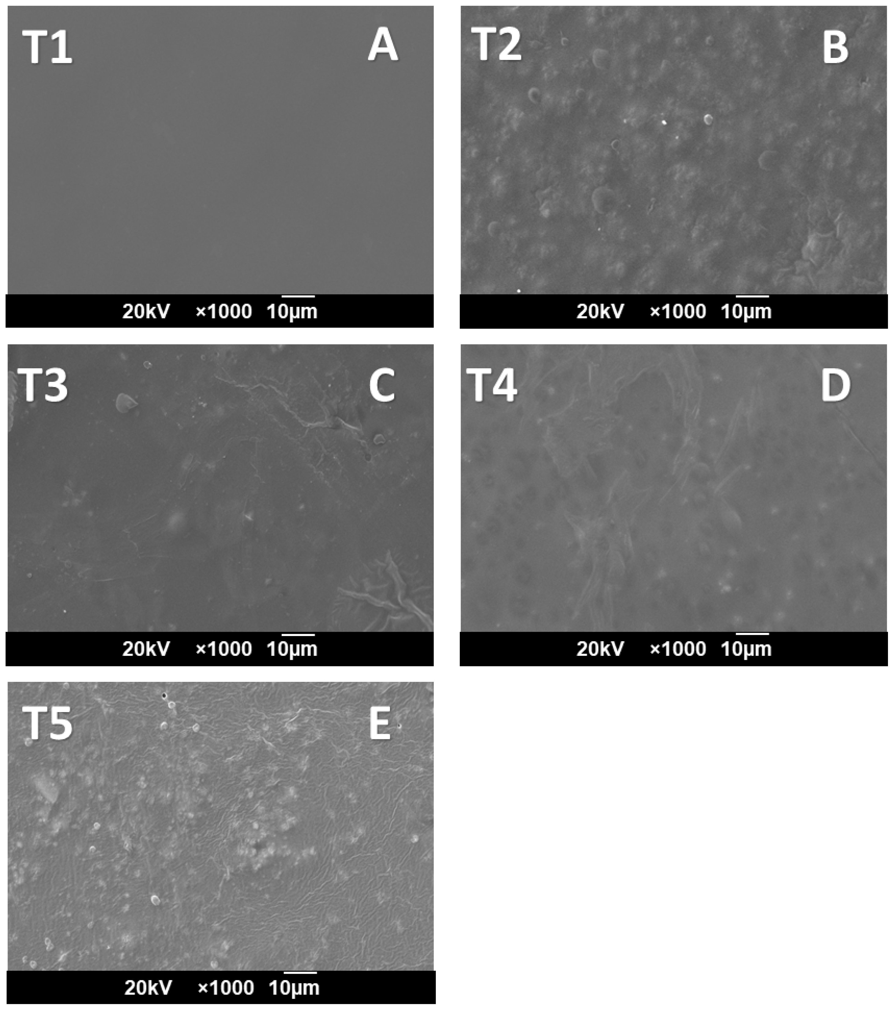 Molecules 27 02264 g004