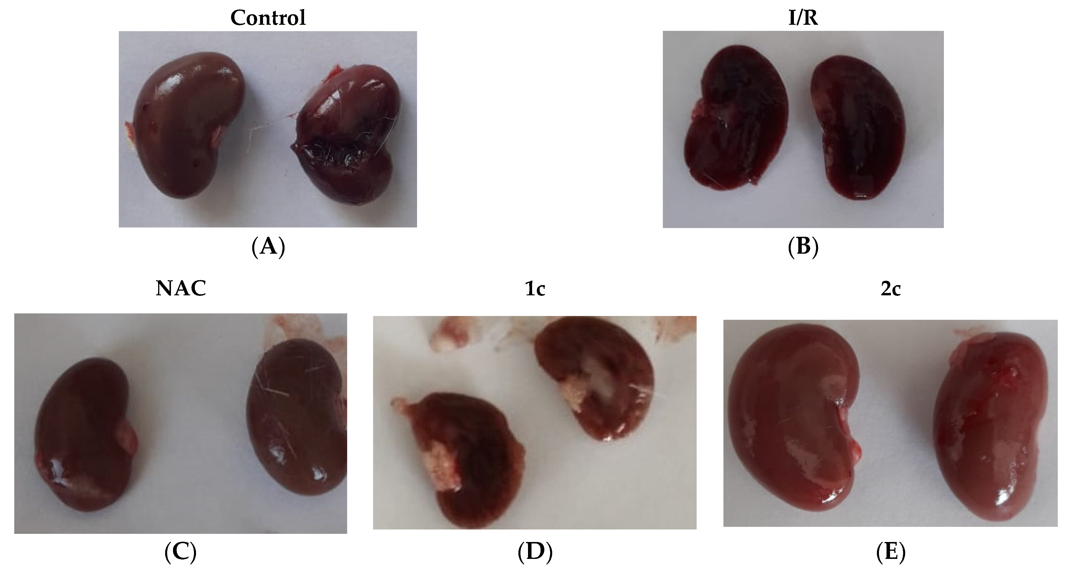 Molecules 27 02266 g004