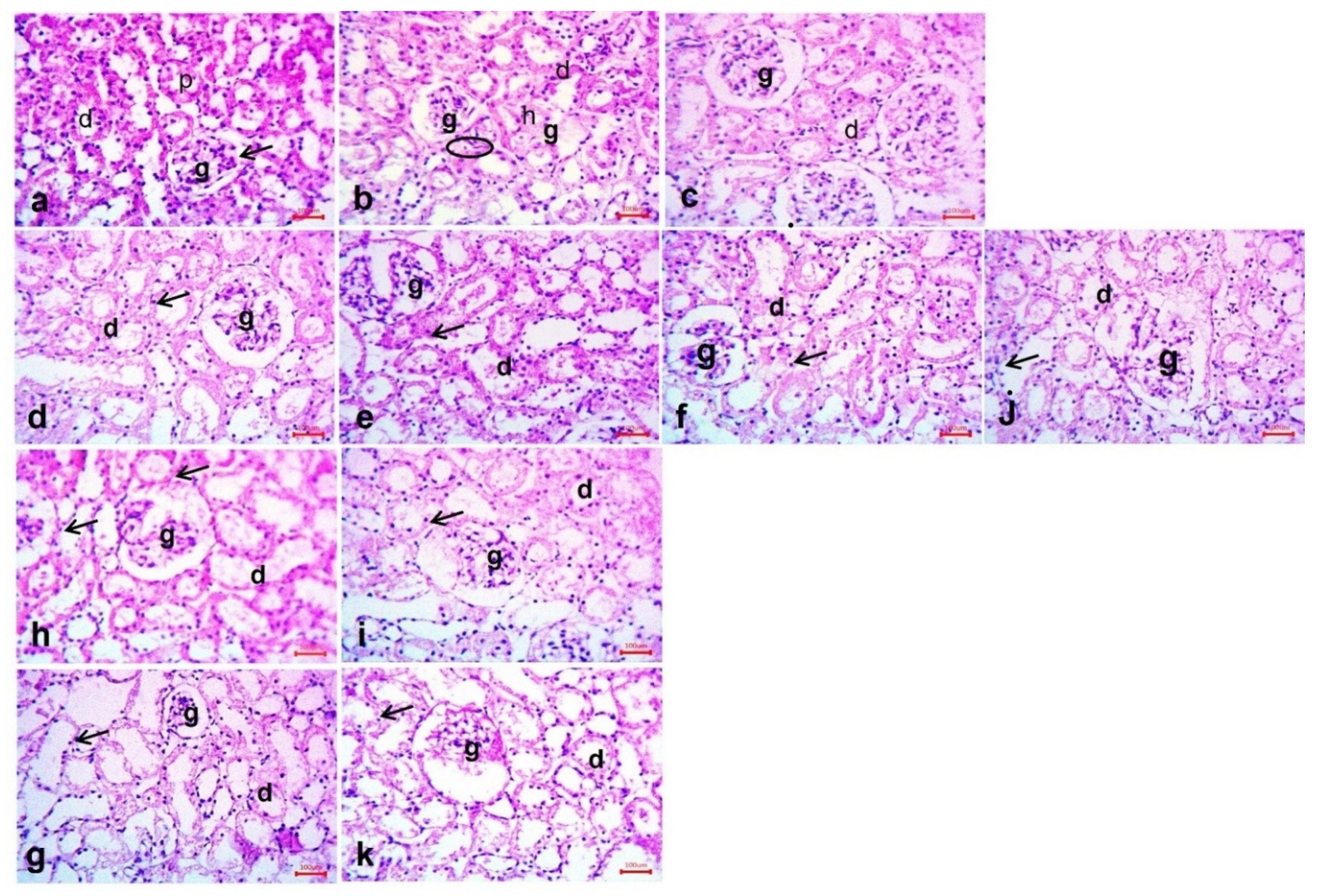 Molecules 27 02266 g010