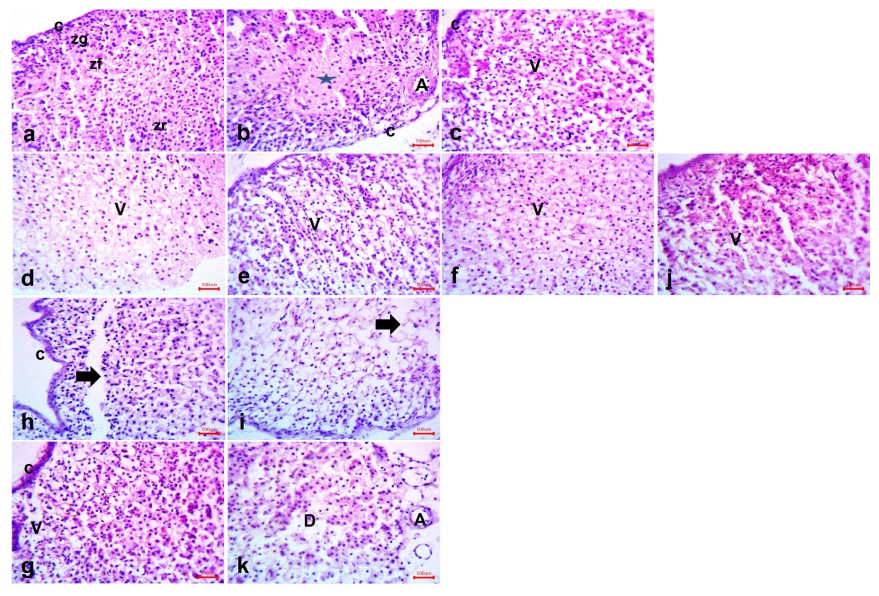 Molecules 27 02266 g011