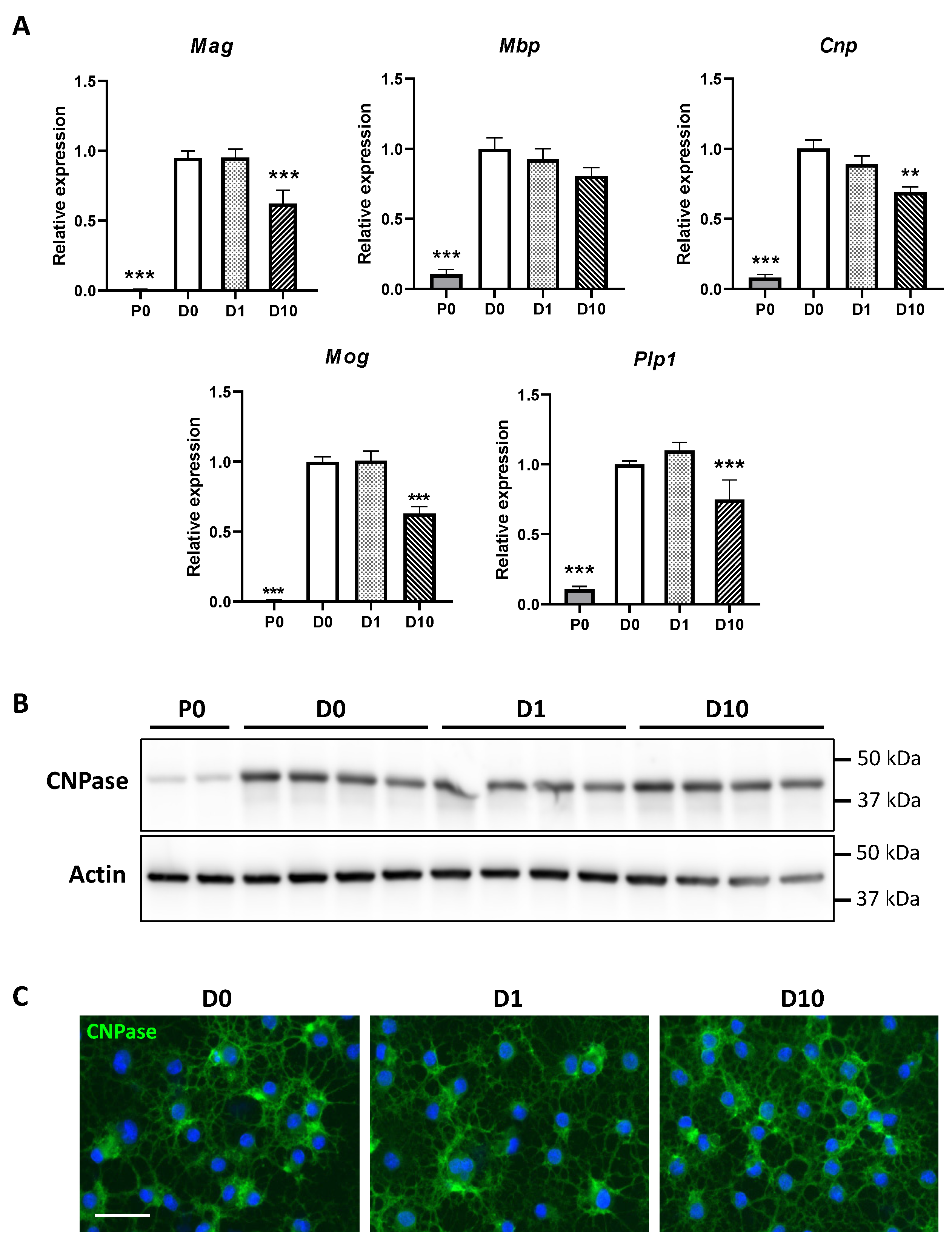 Molecules 27 02274 g002 550