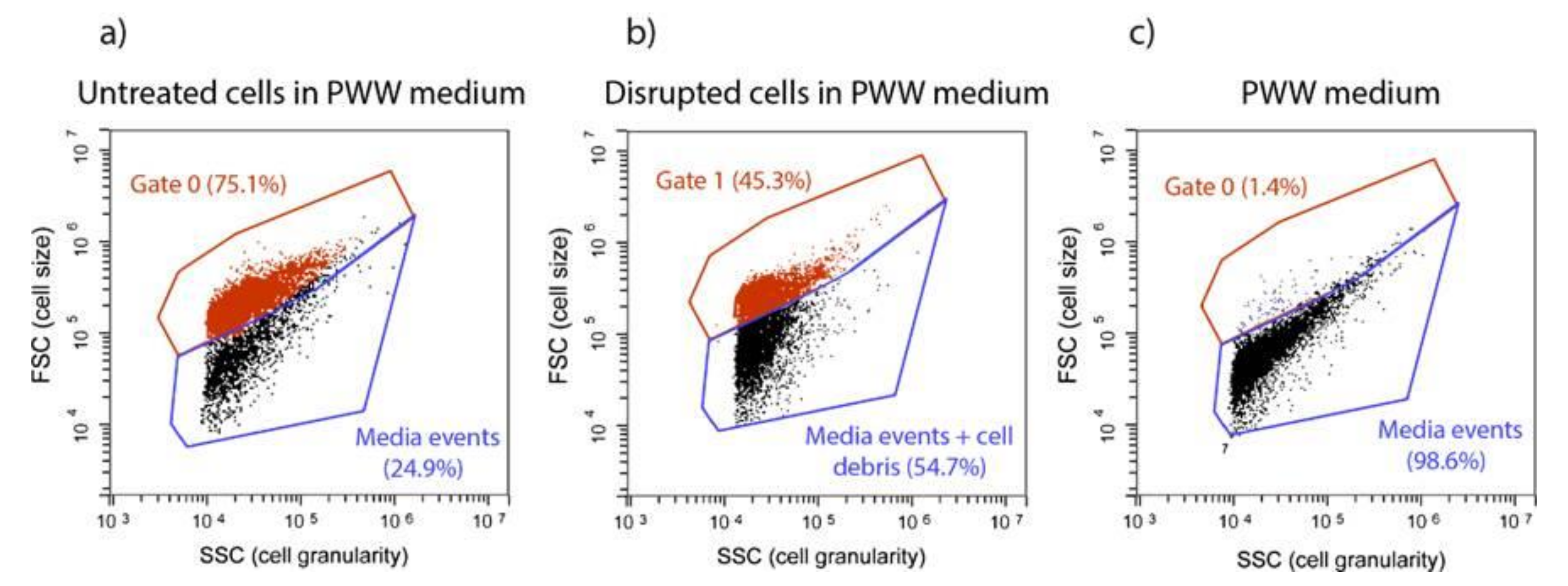 Molecules 27 02275 g001