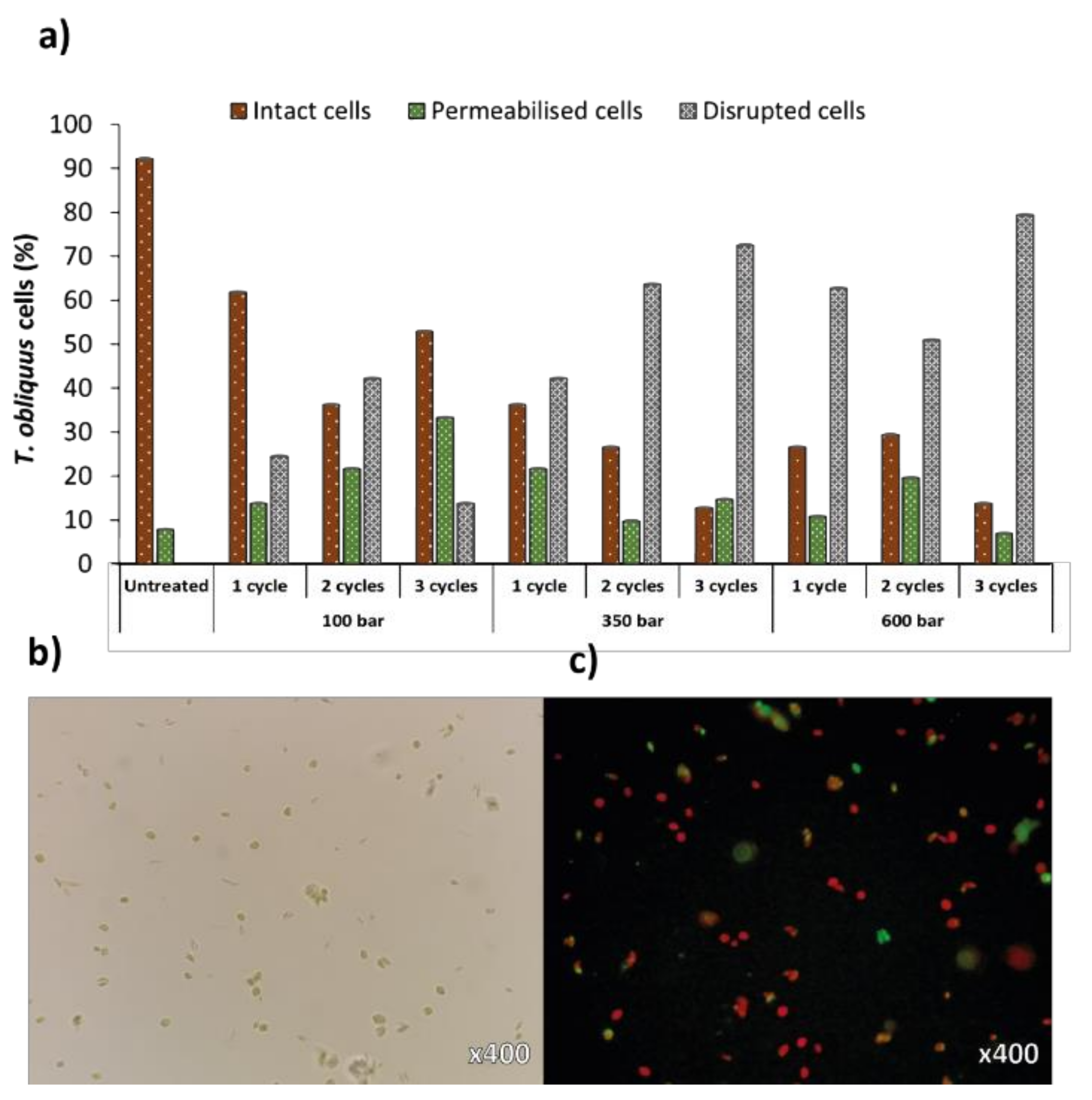 Molecules 27 02275 g004