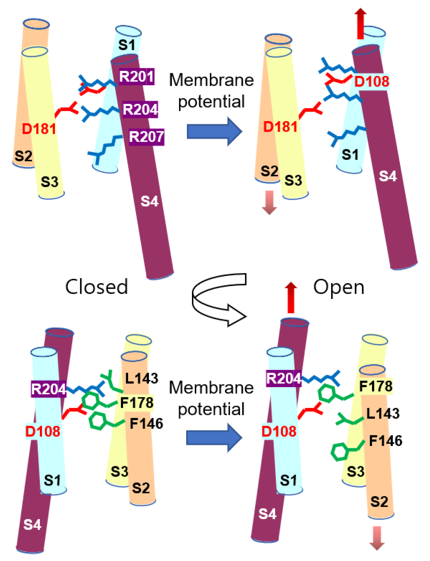 Molecules 27 02277 g008