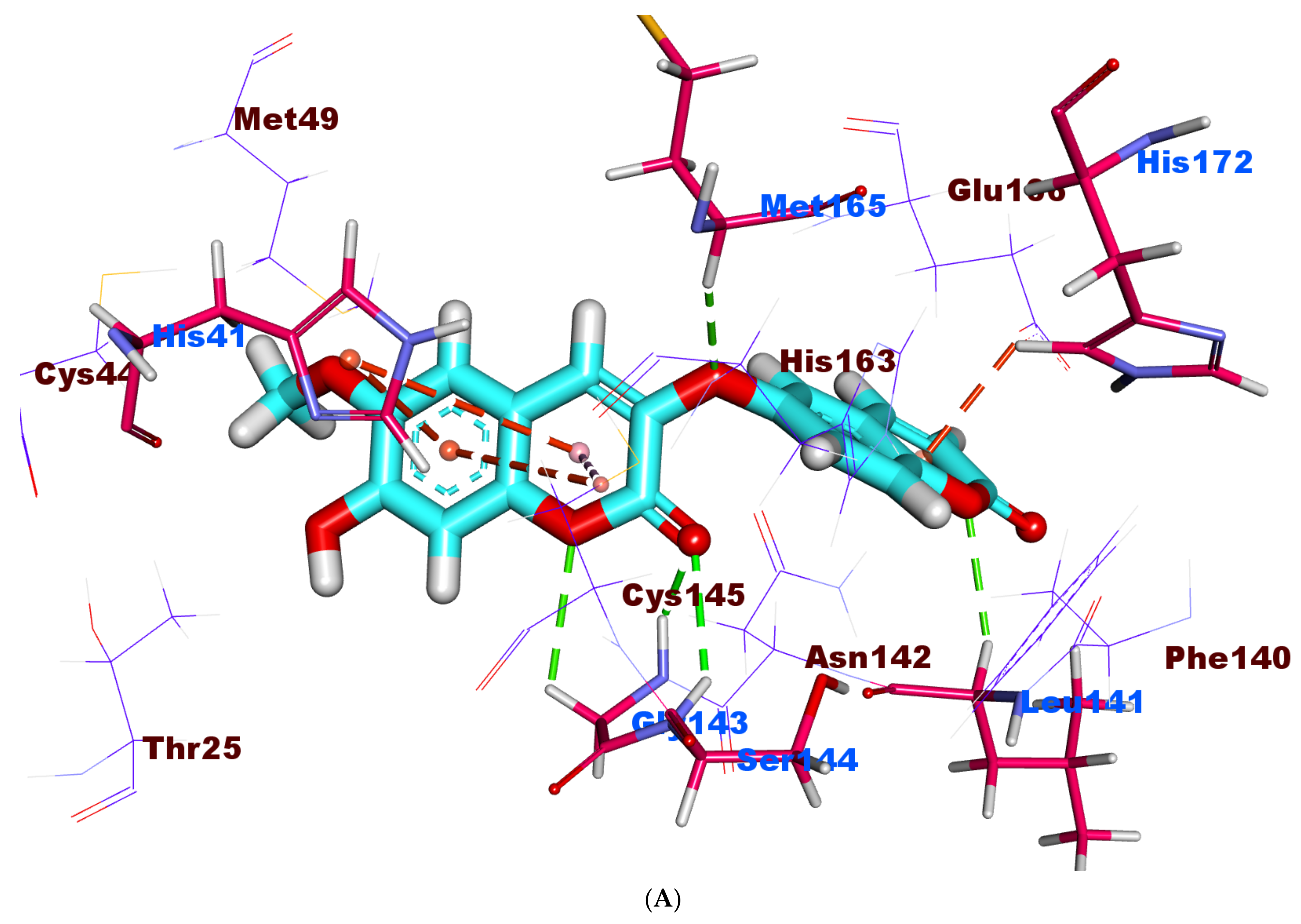 Molecules 27 02281 g011a 550