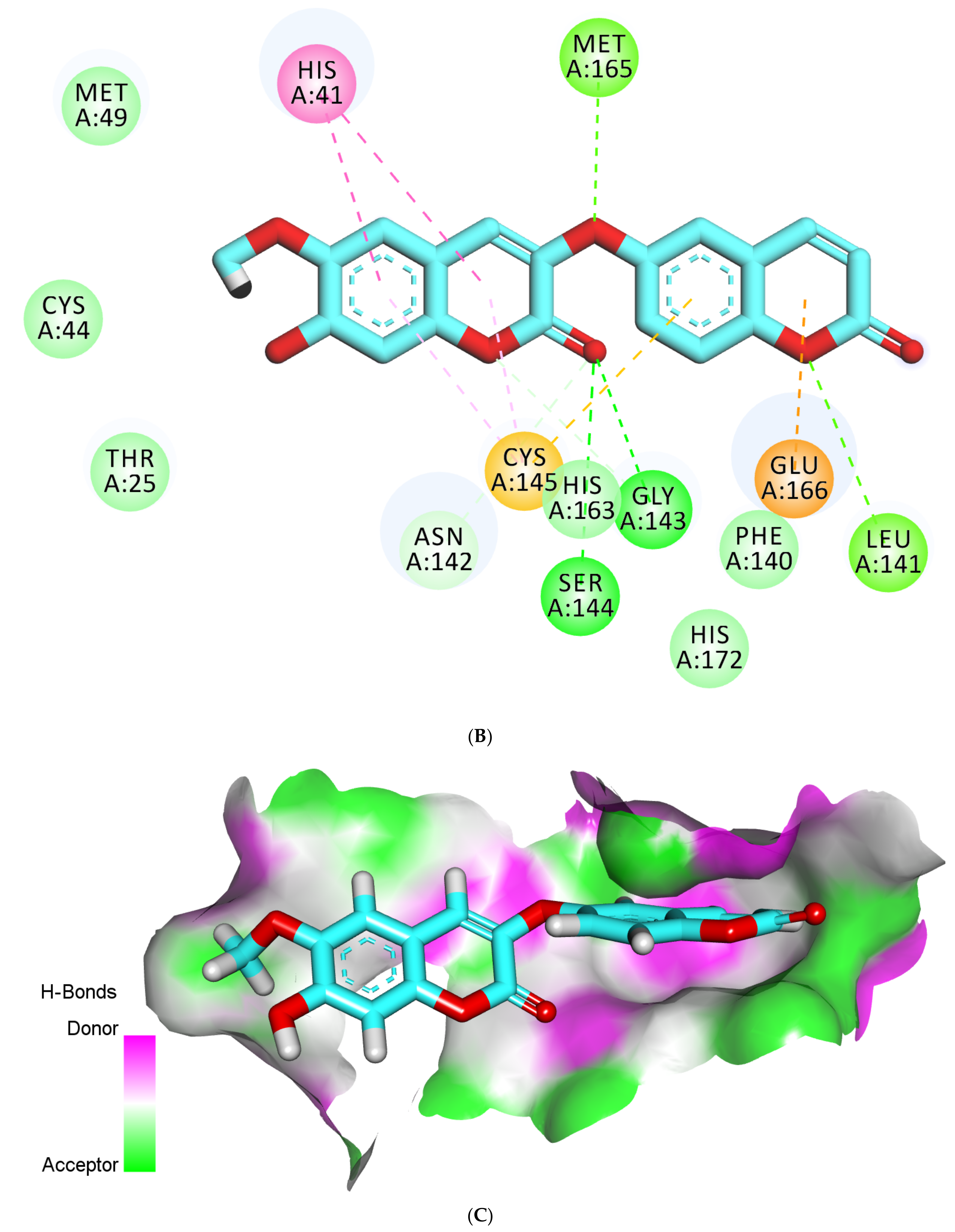 Molecules 27 02281 g011b 550