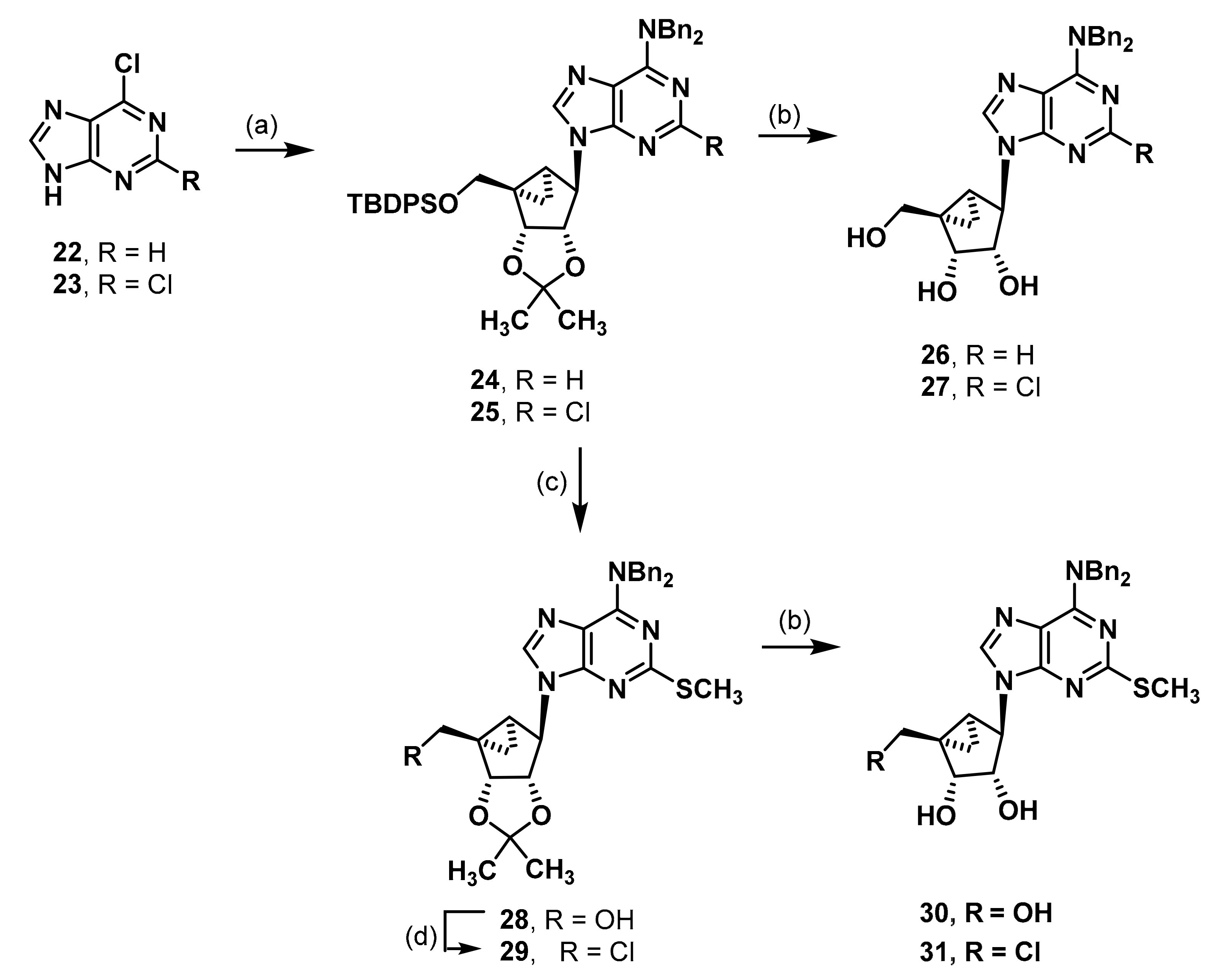 Molecules 27 02283 sch004 550