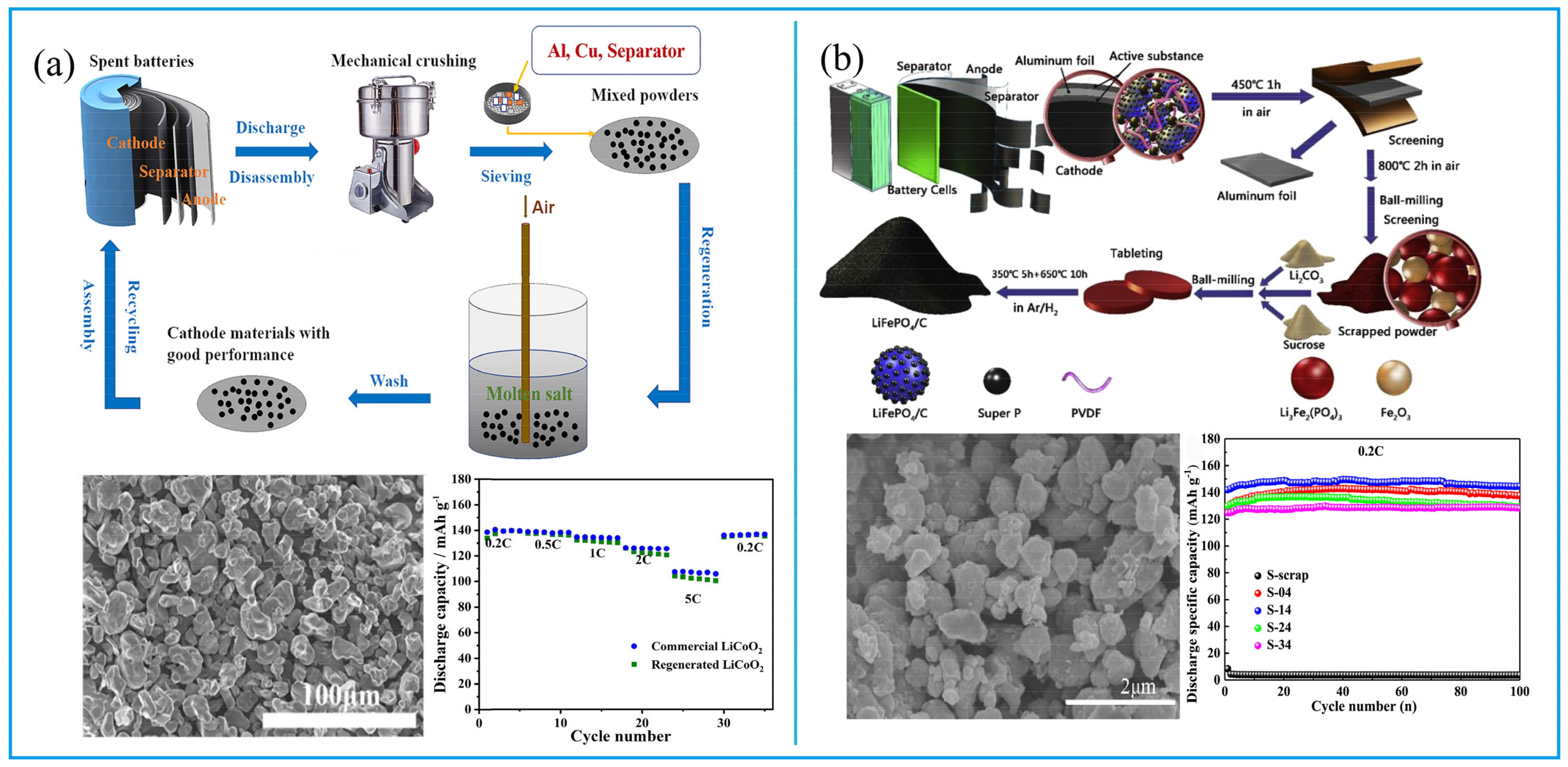 Molecules 27 02285 g004