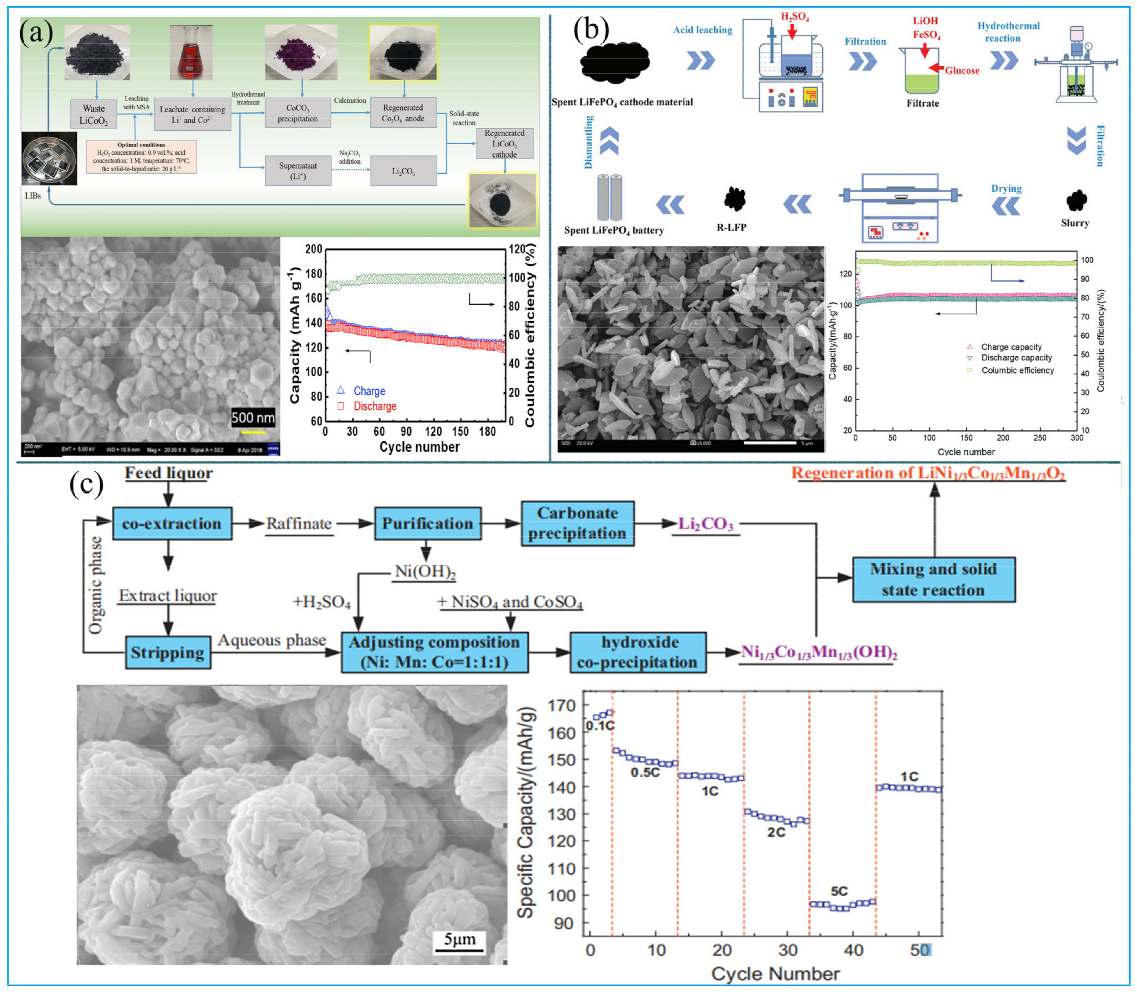 Molecules 27 02285 g005