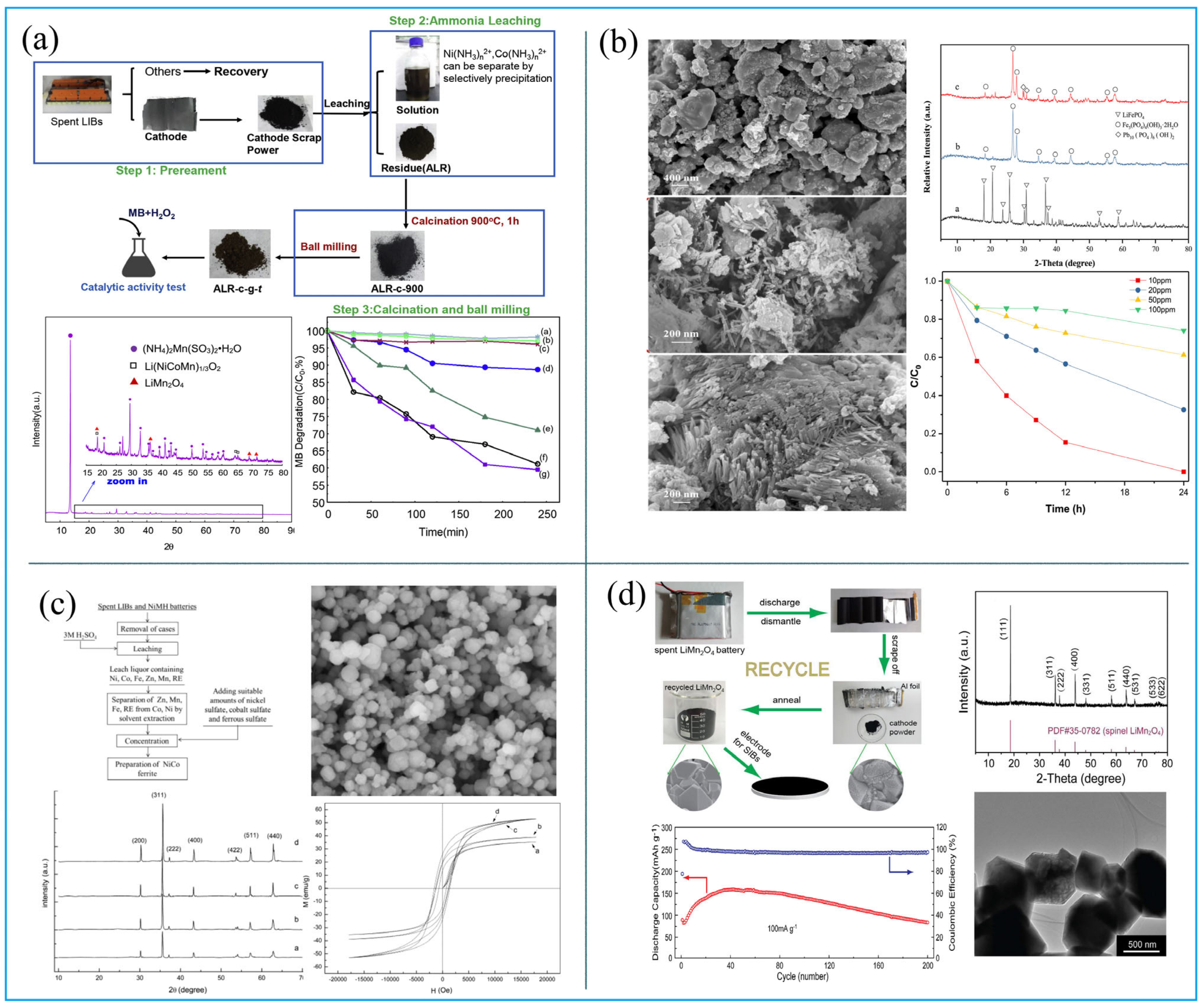 Molecules 27 02285 g006
