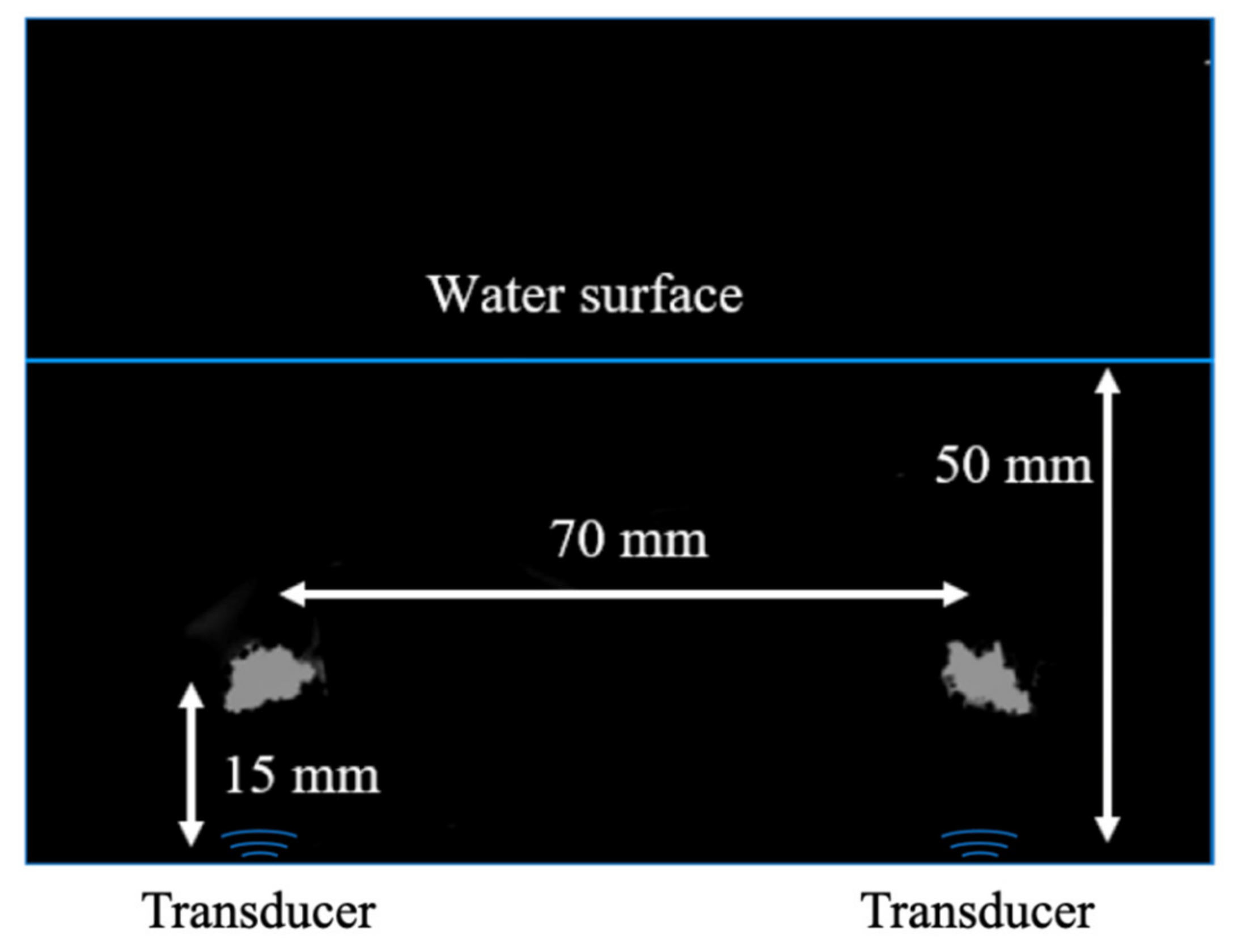 Molecules 27 02289 g004