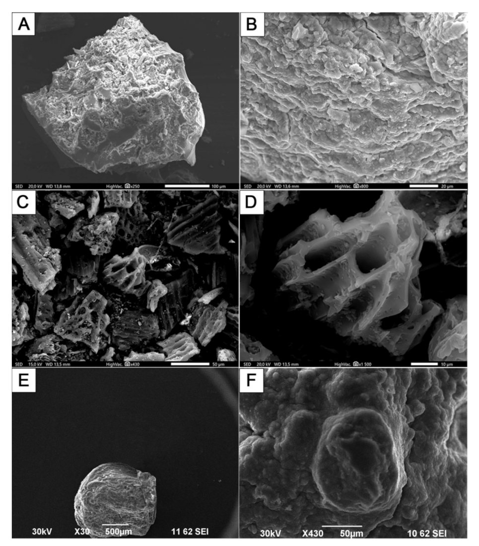 Molecules 27 02296 g003