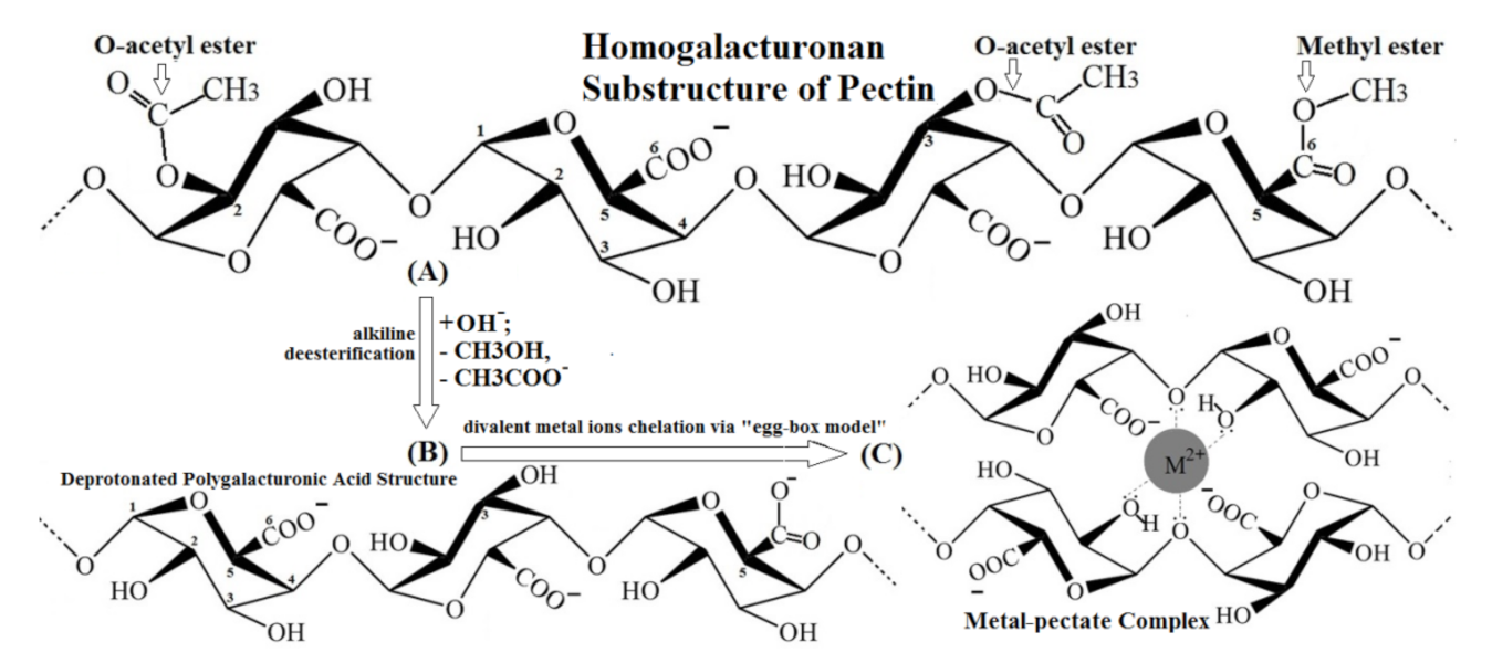 Molecules 27 02296 sch001