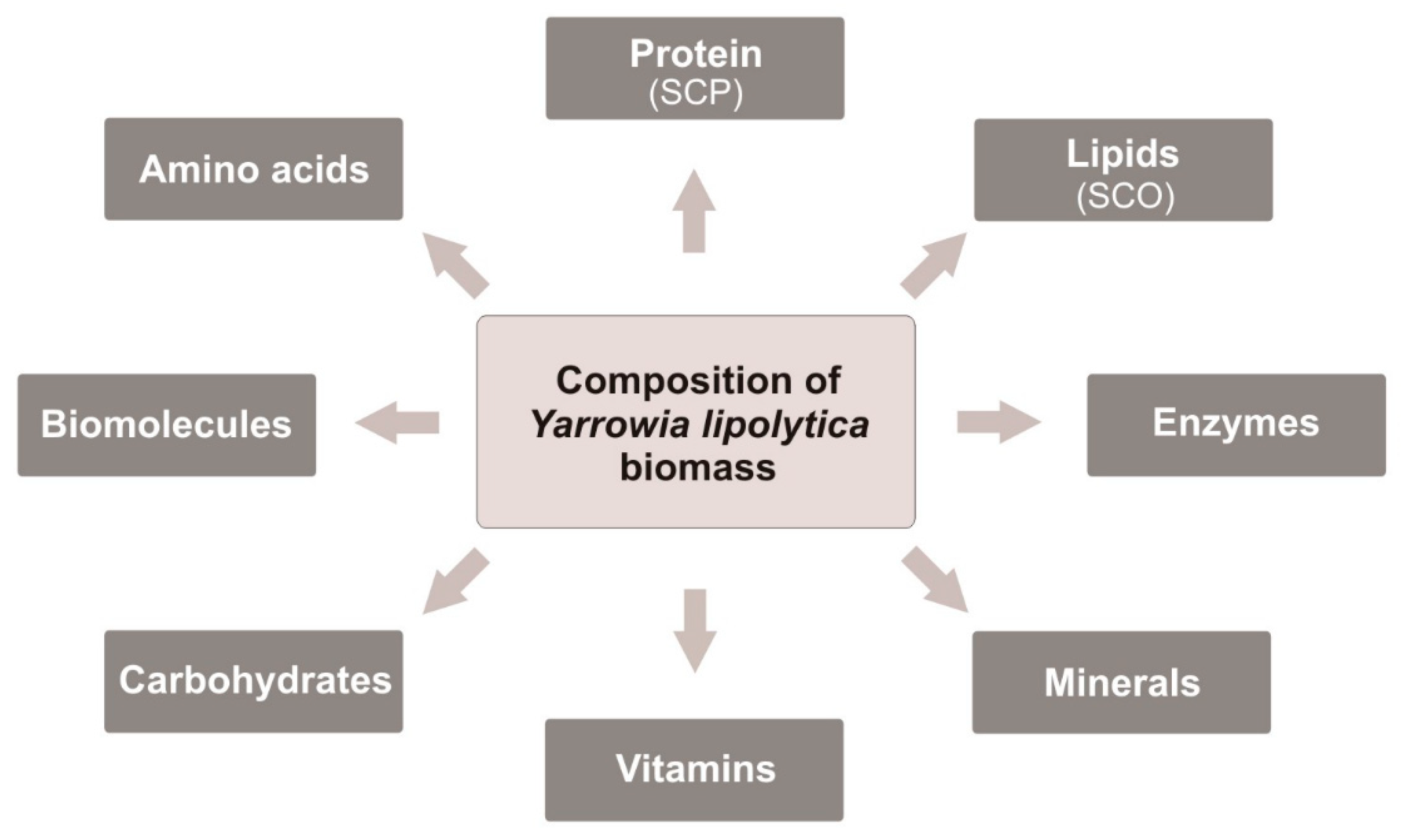 Molecules 27 02300 g001