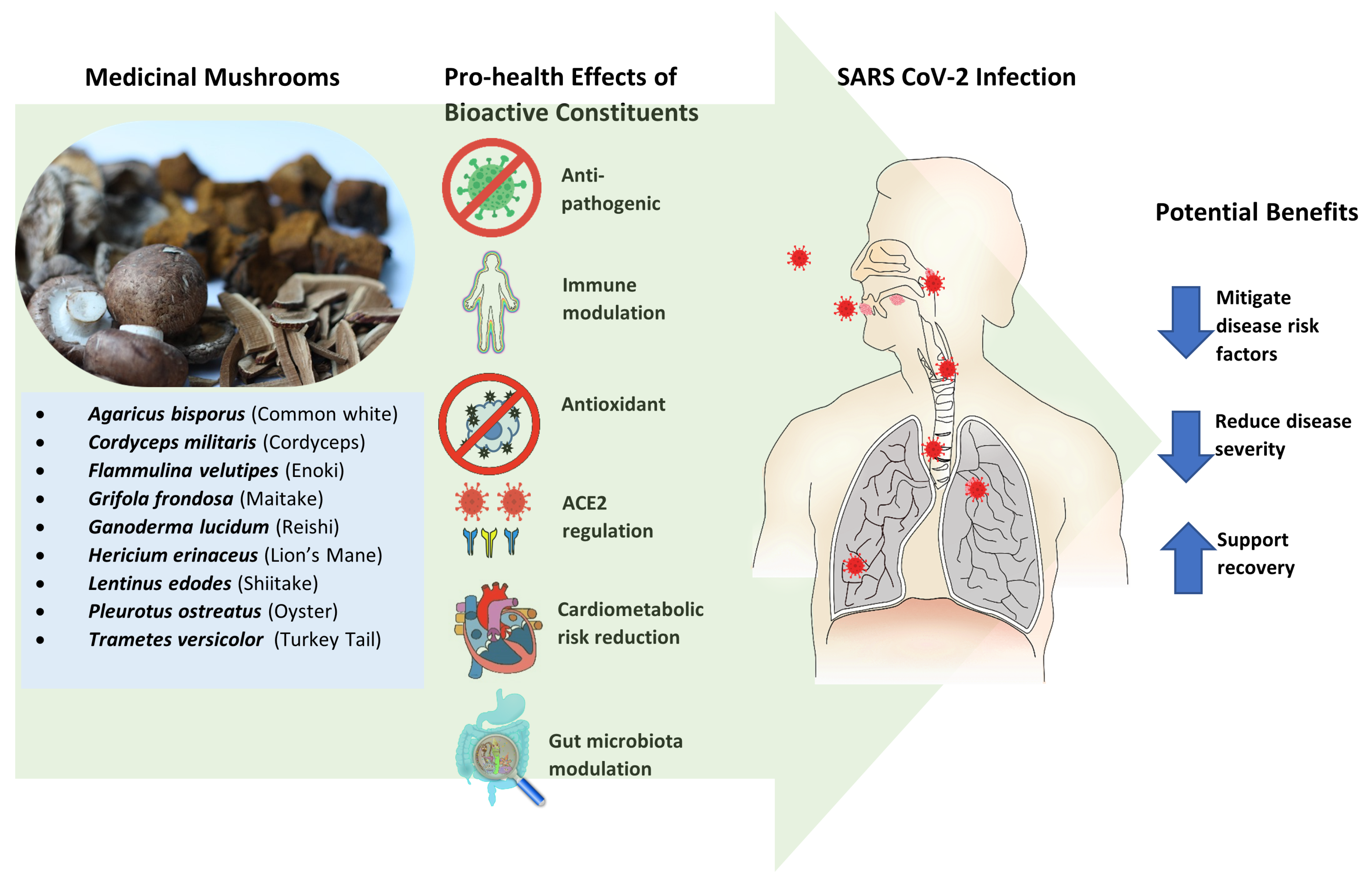 Molecules 27 02302 g001 550