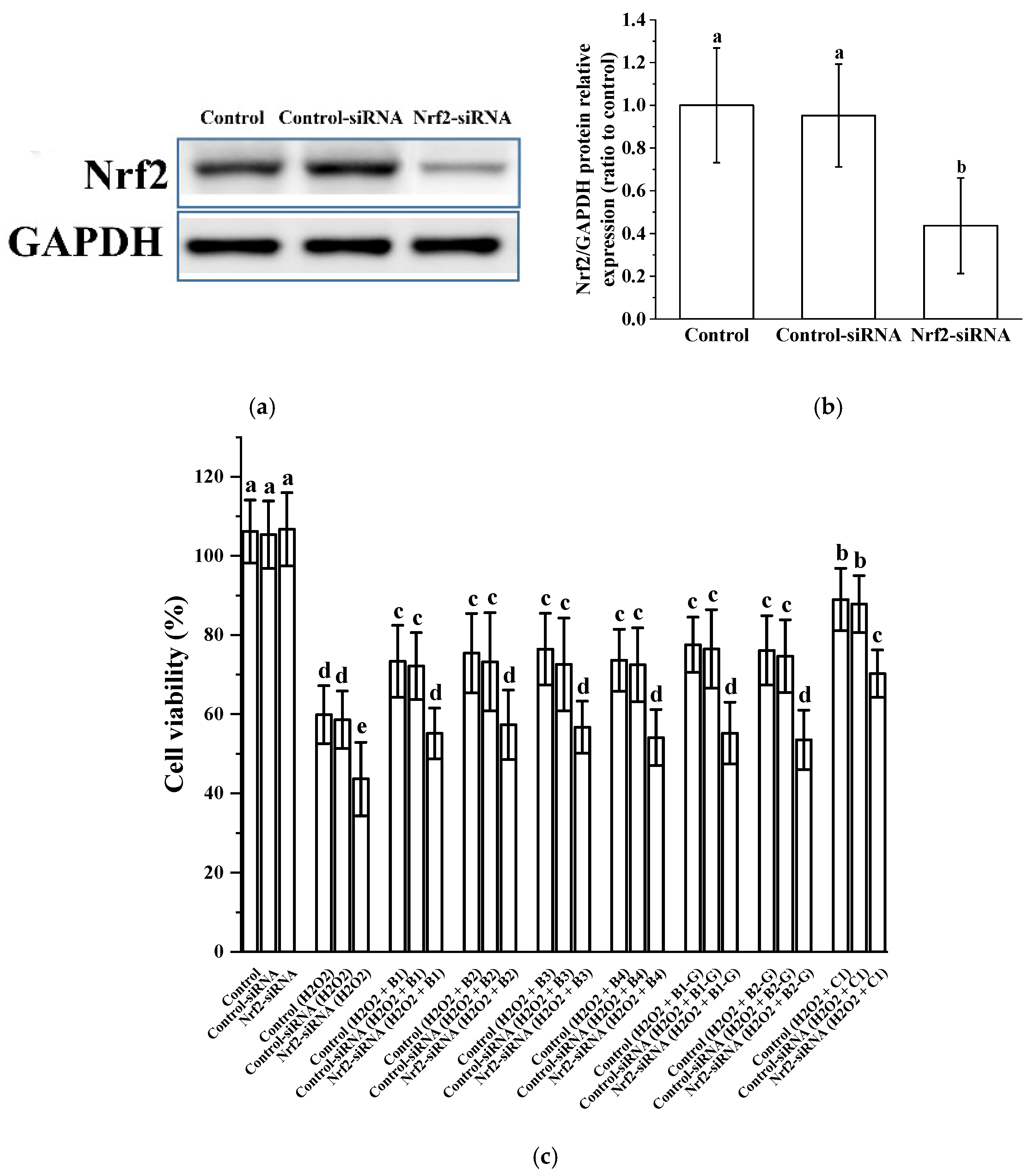 Molecules 27 02308 g005 550