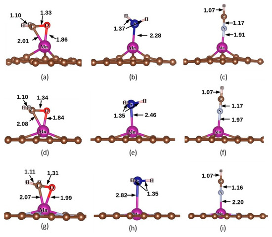Adsorption Characteristics of Gas Molecules Adsorbed on