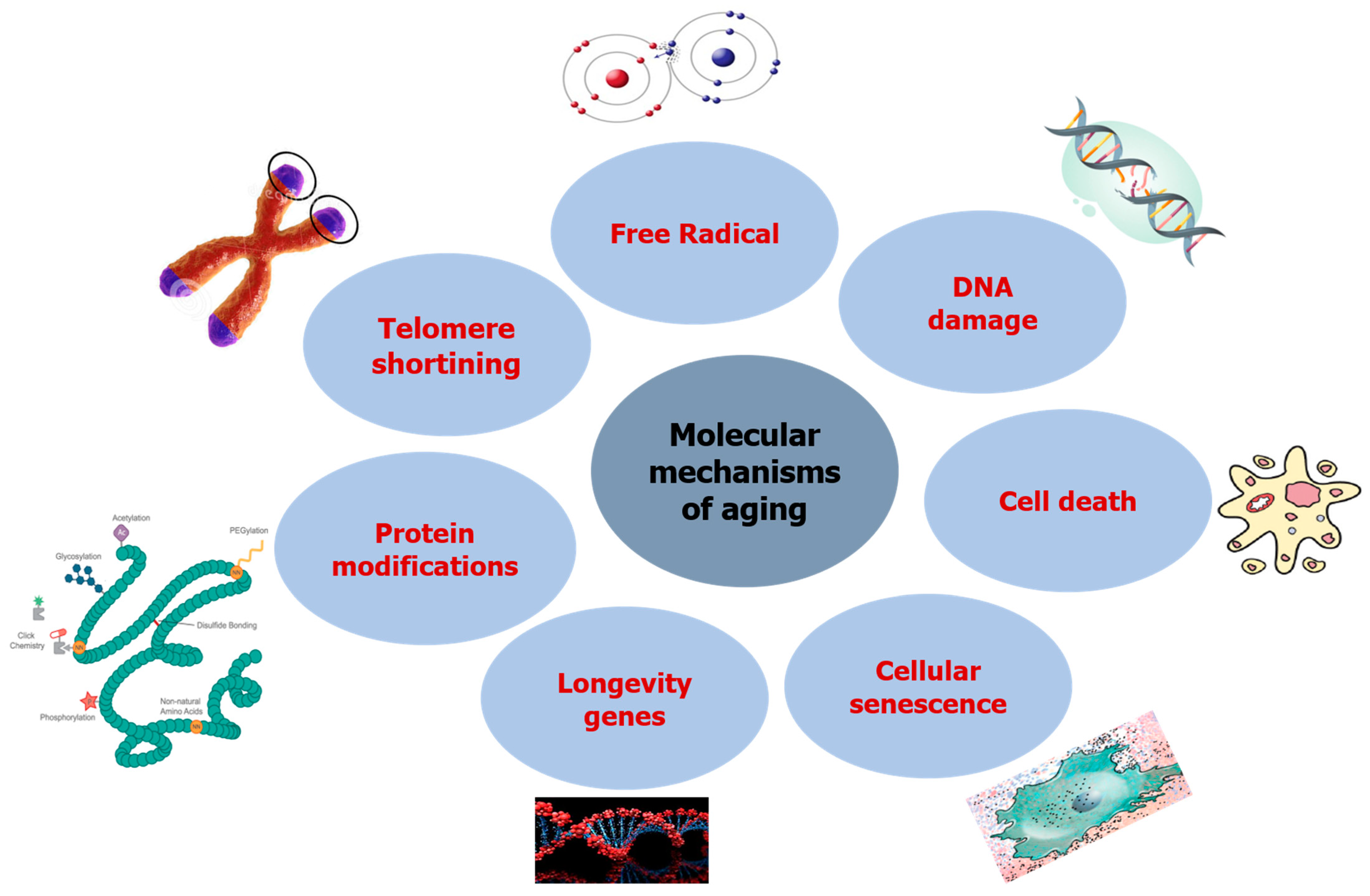 Molecules 27 02316 g001