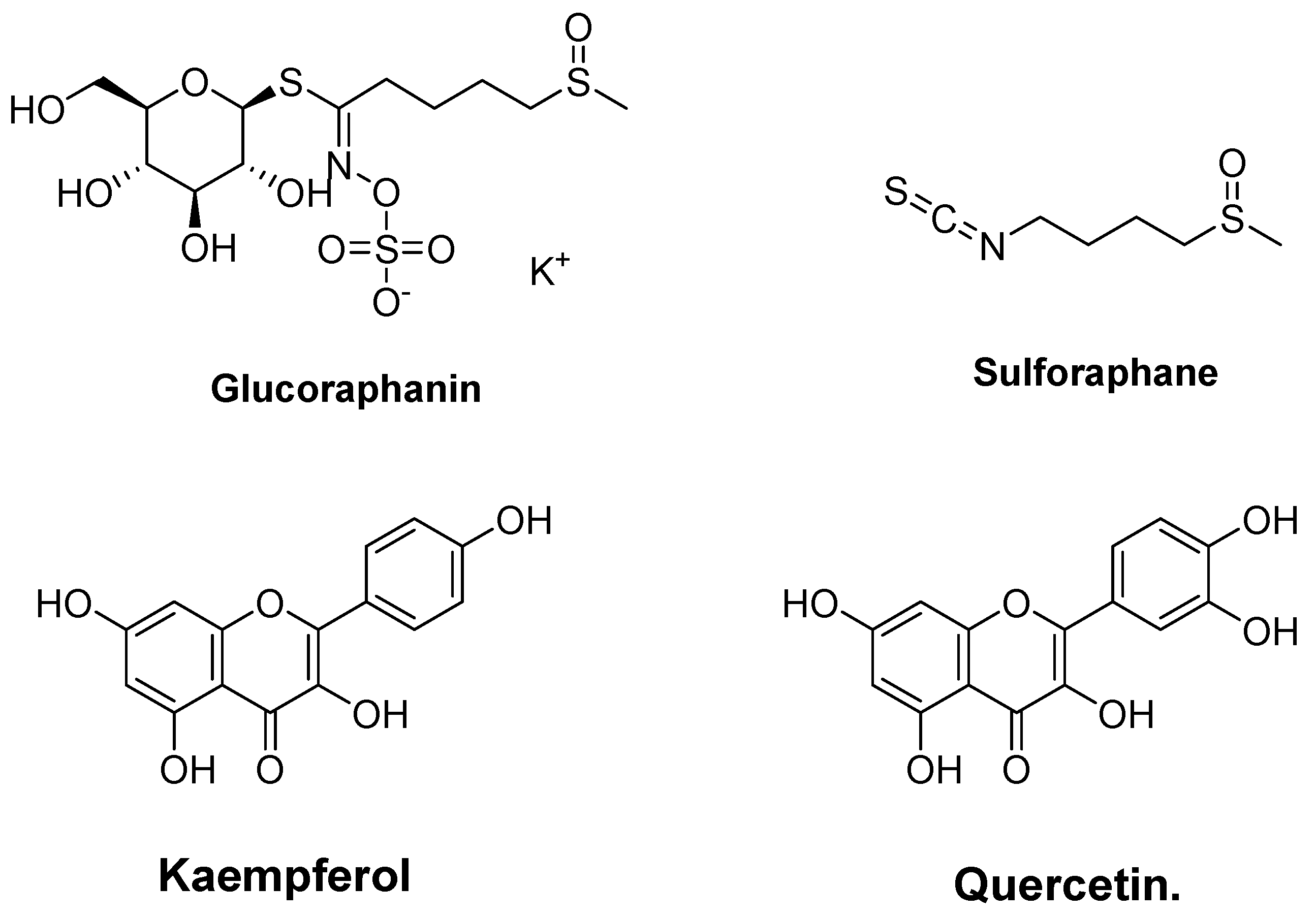 Molecules 27 02316 g004