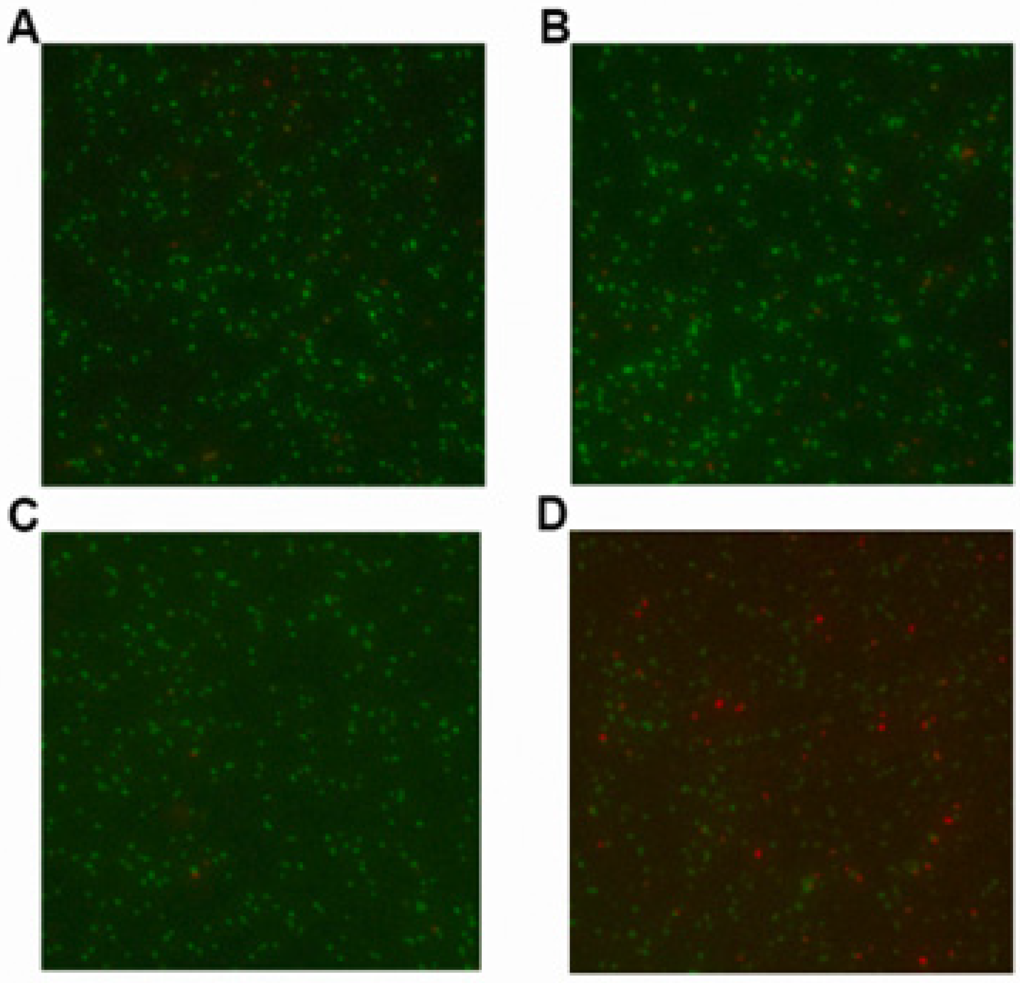Molecules 27 02318 g008