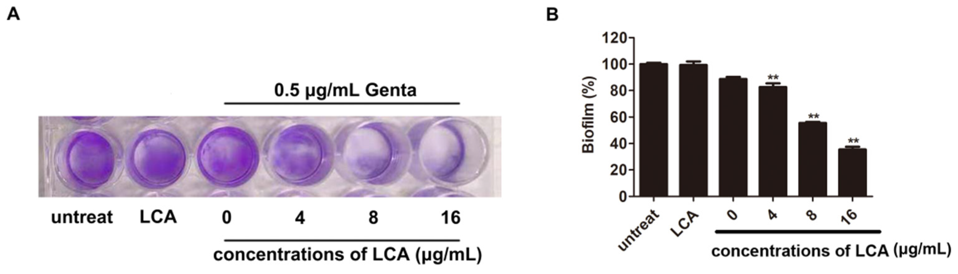 Molecules 27 02318 g010
