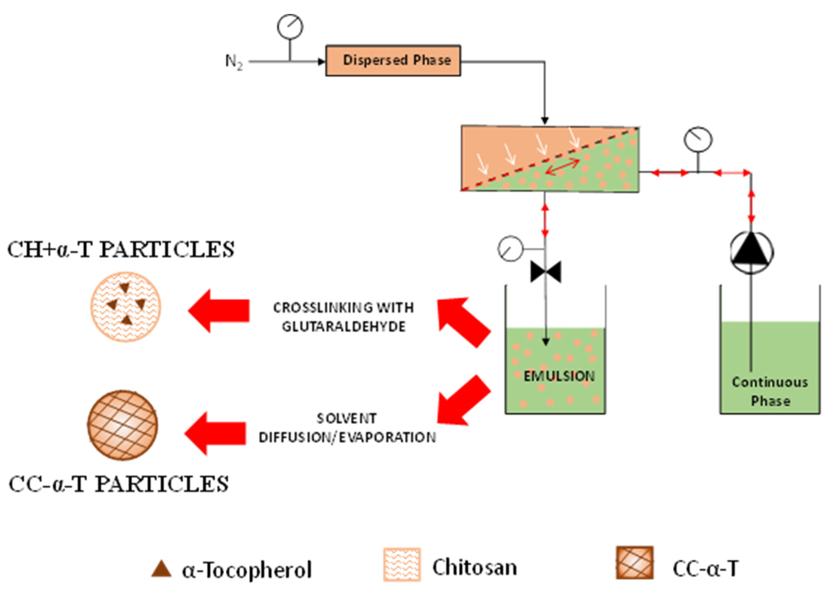 Molecules 27 02319 g004