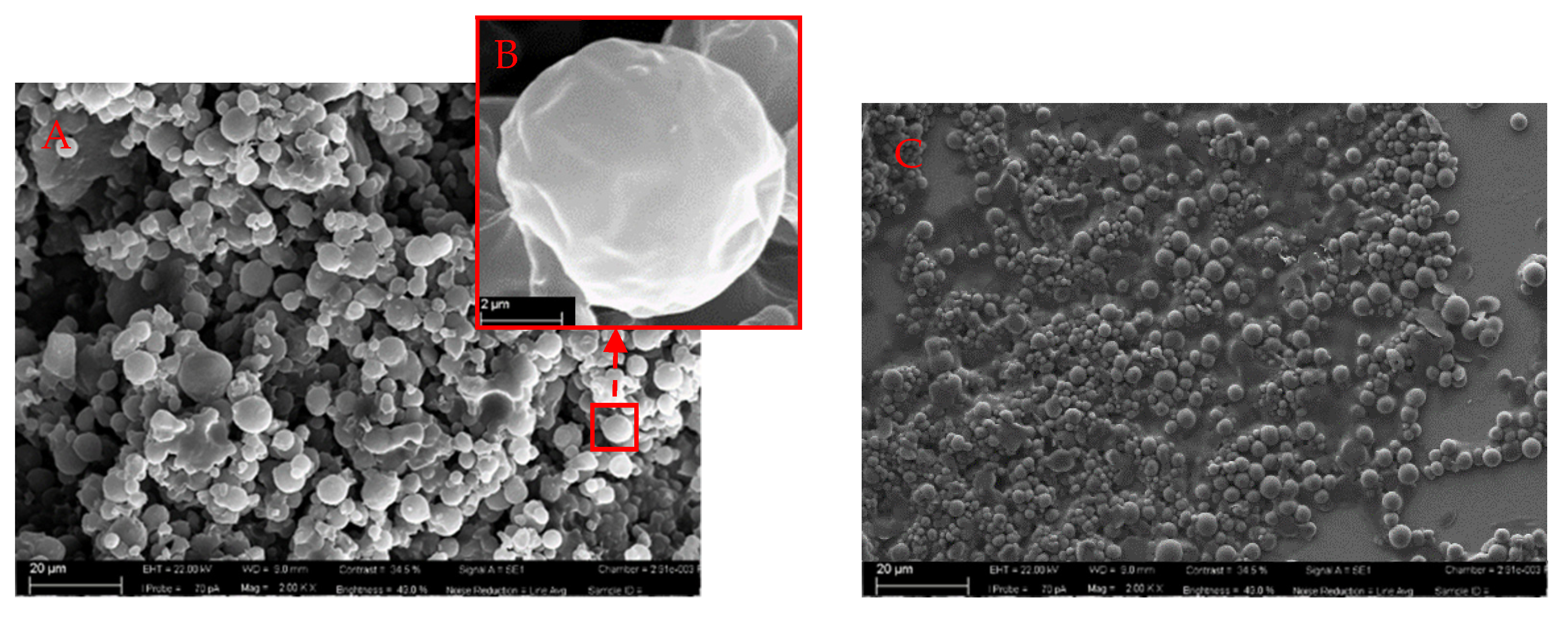Molecules 27 02319 g006