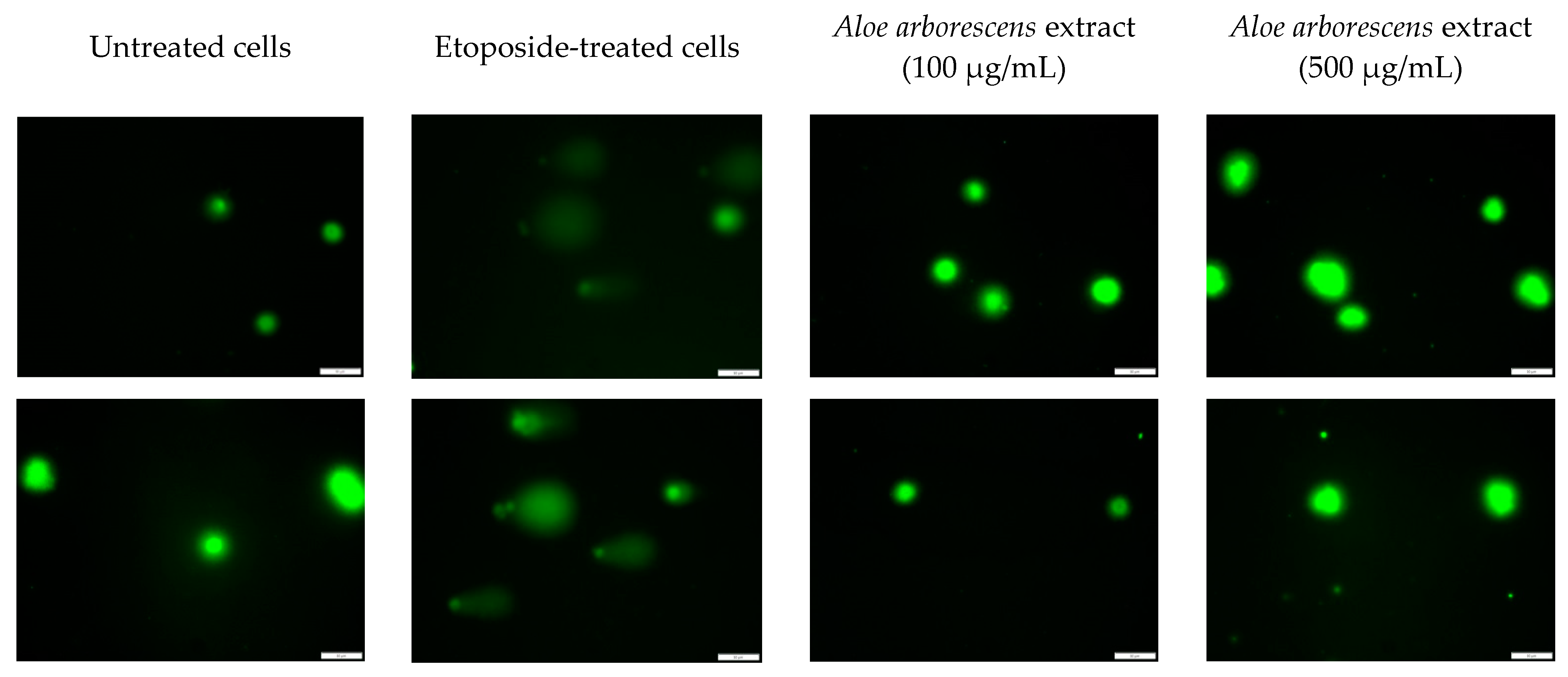 Molecules 27 02323 g001 Molecules 27 02323 g001