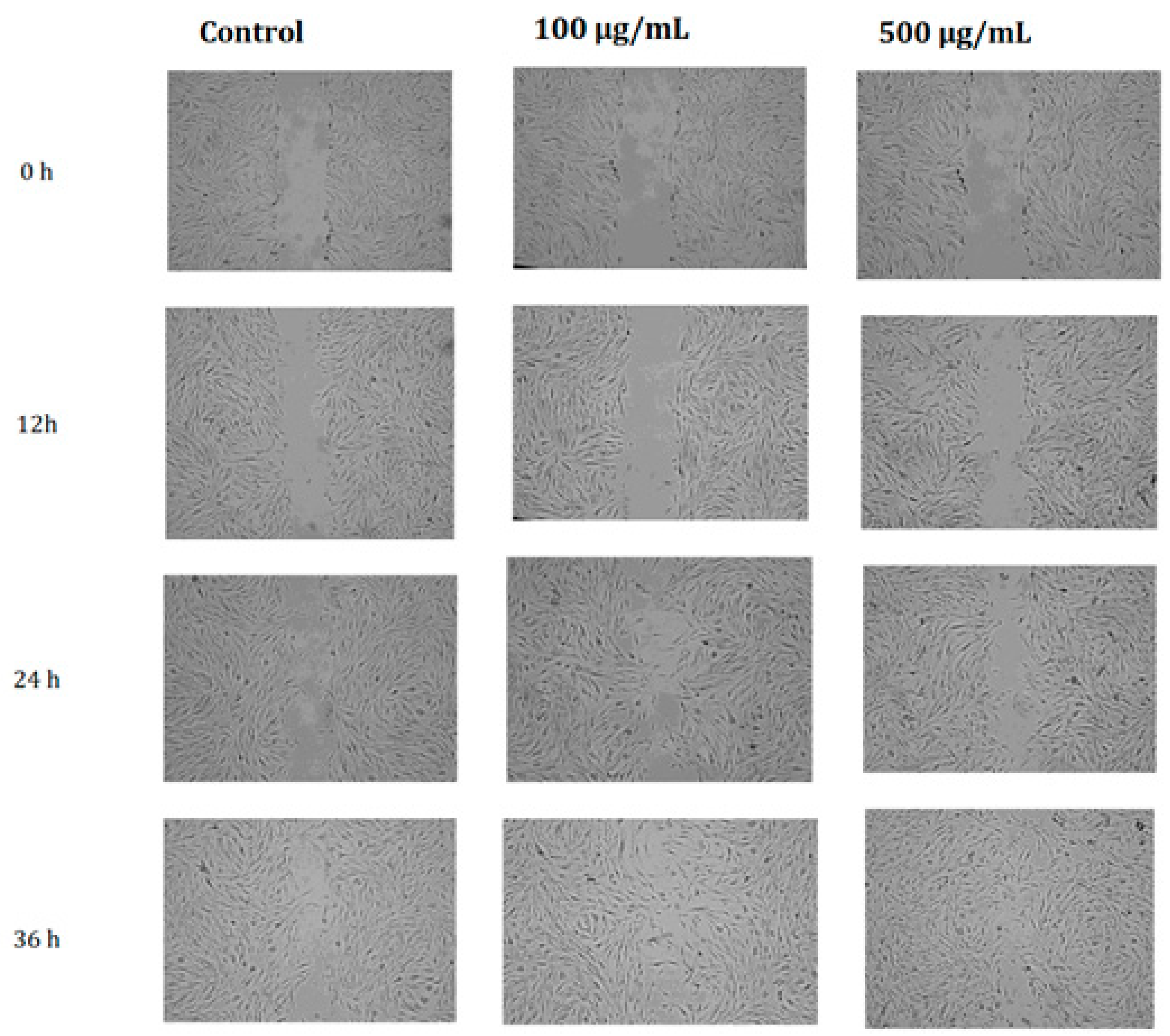 Molecules 27 02323 g004 Molecules 27 02323 g004