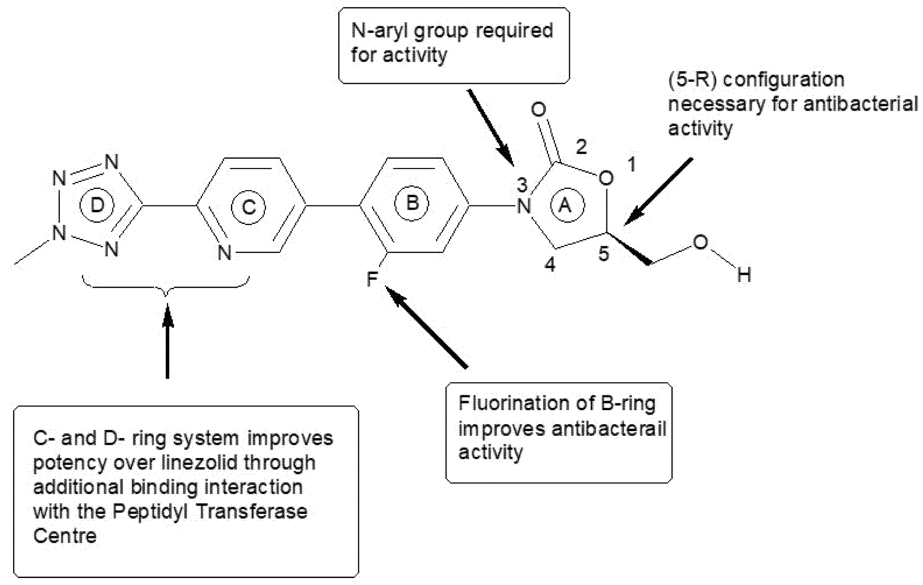 Molecules 27 02326 g001