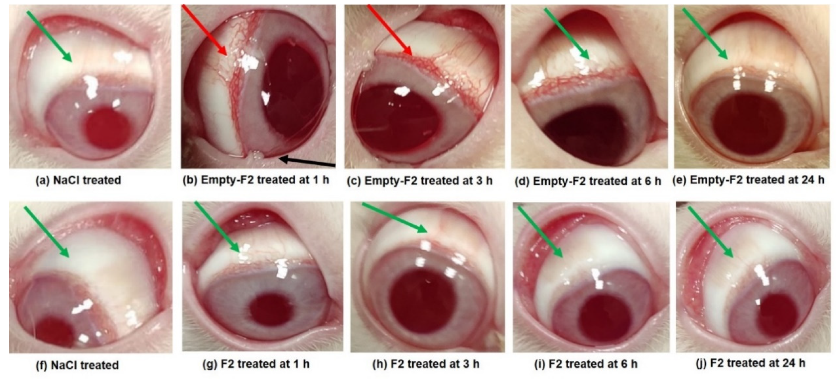 Molecules 27 02326 g007