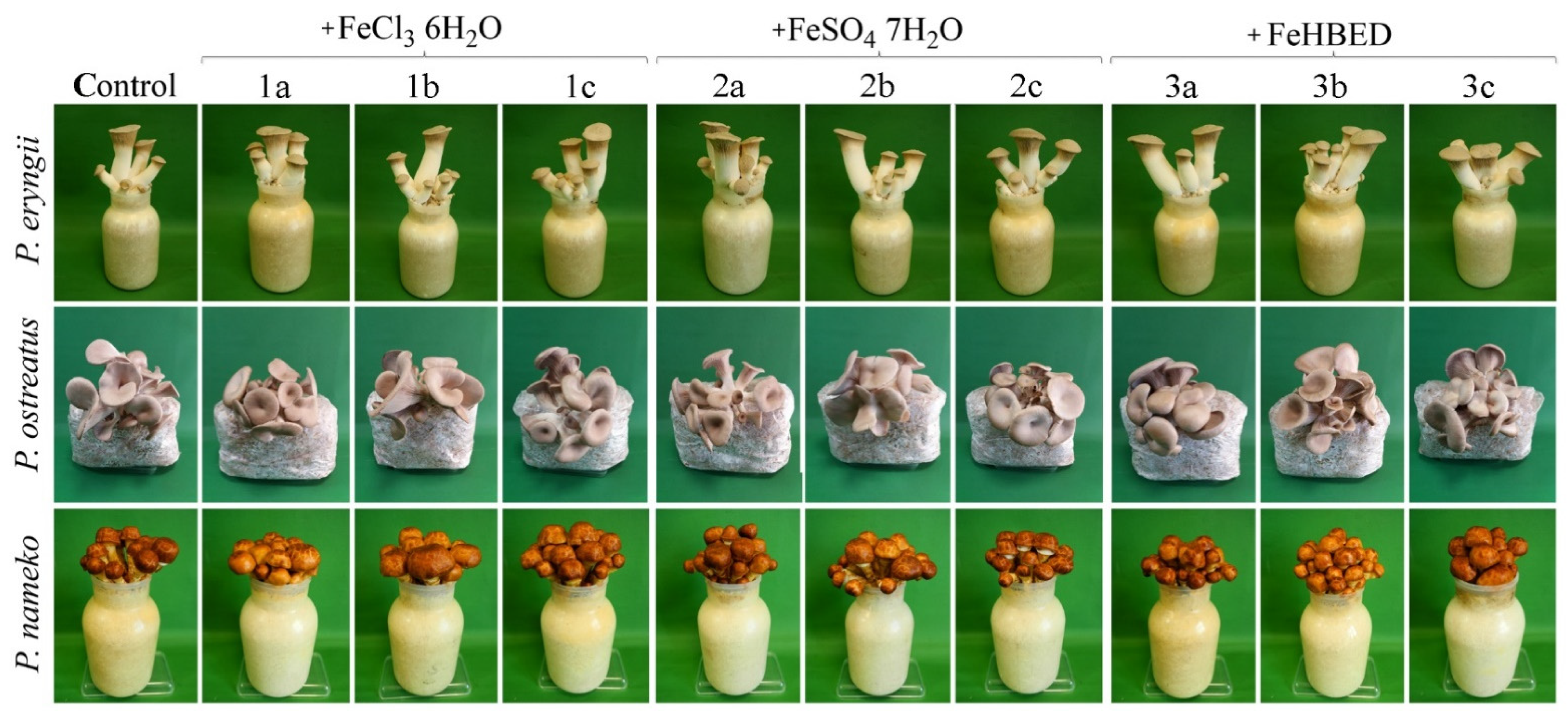 Molecules 27 02328 g001 Molecules 27 02328 g001