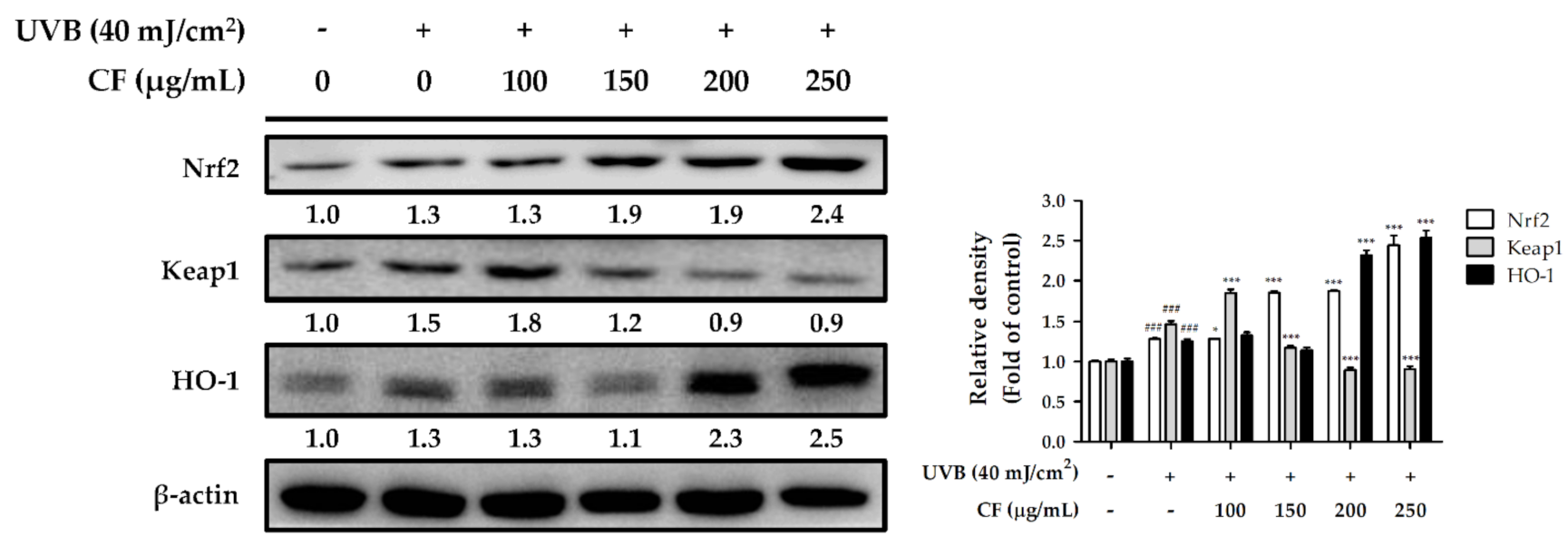Molecules 27 02332 g004 550