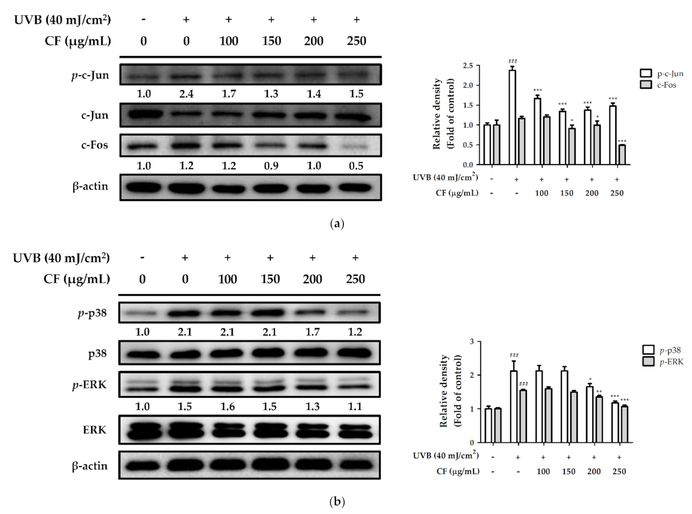 Molecules 27 02332 g007 550