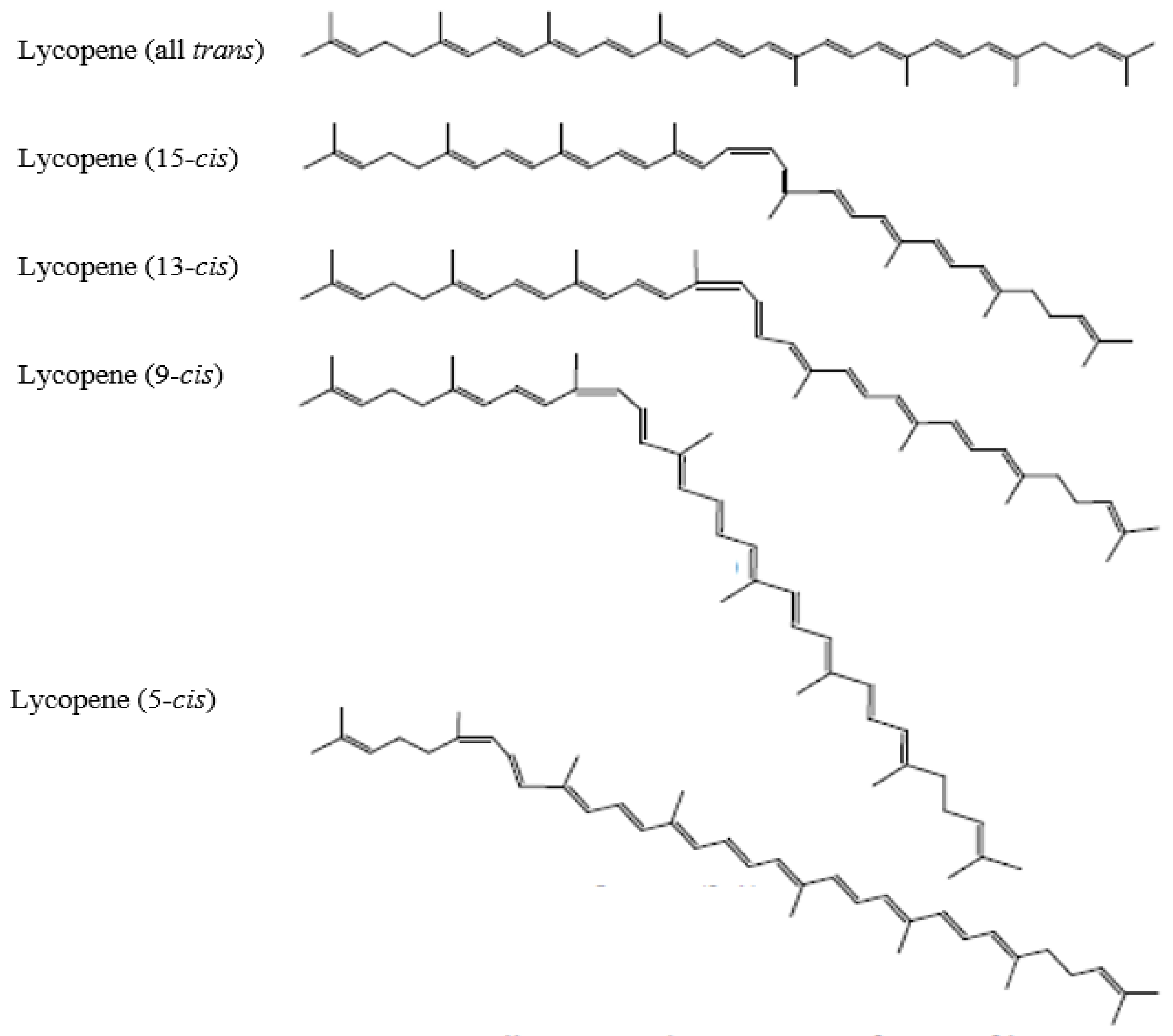 Molecules | Free Full-Text | Lycopene: A Potent Antioxidant for the  Amelioration of Type II Diabetes Mellitus