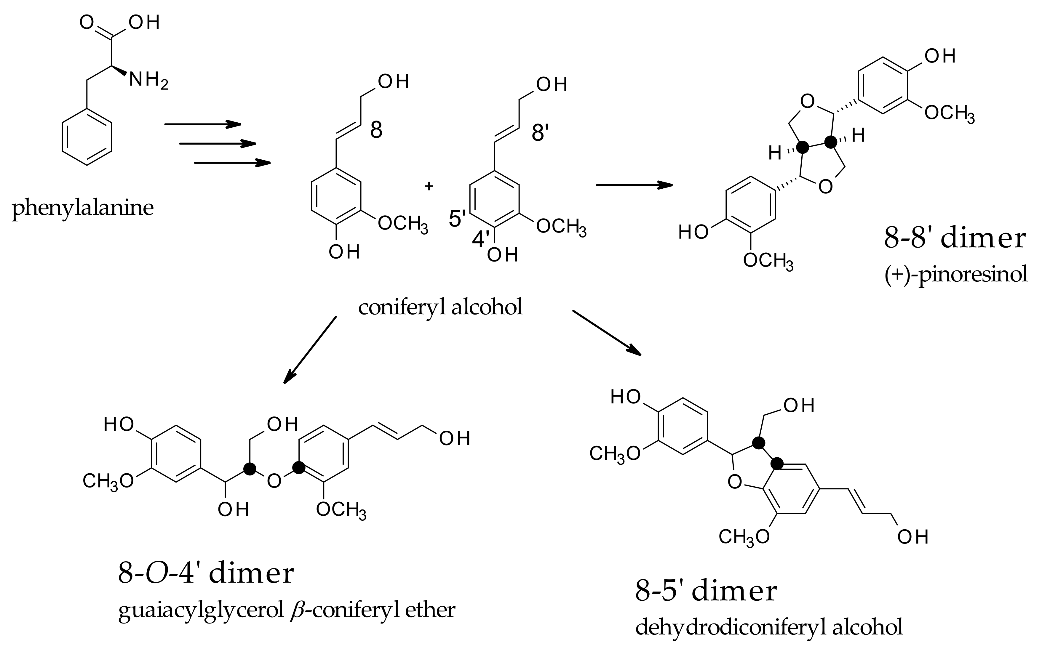 Molecules 27 02340 sch001 550