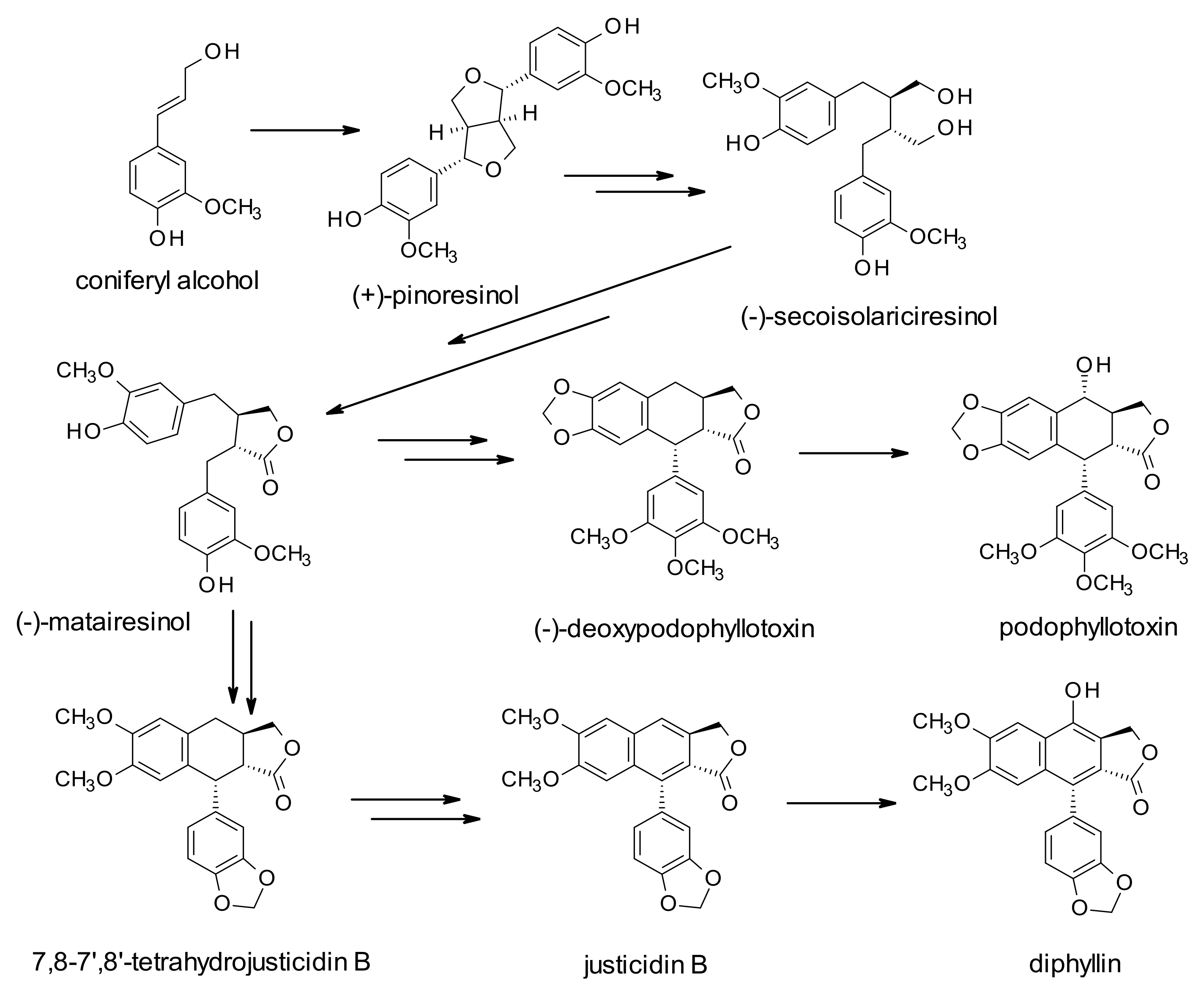 Molecules 27 02340 sch002 550