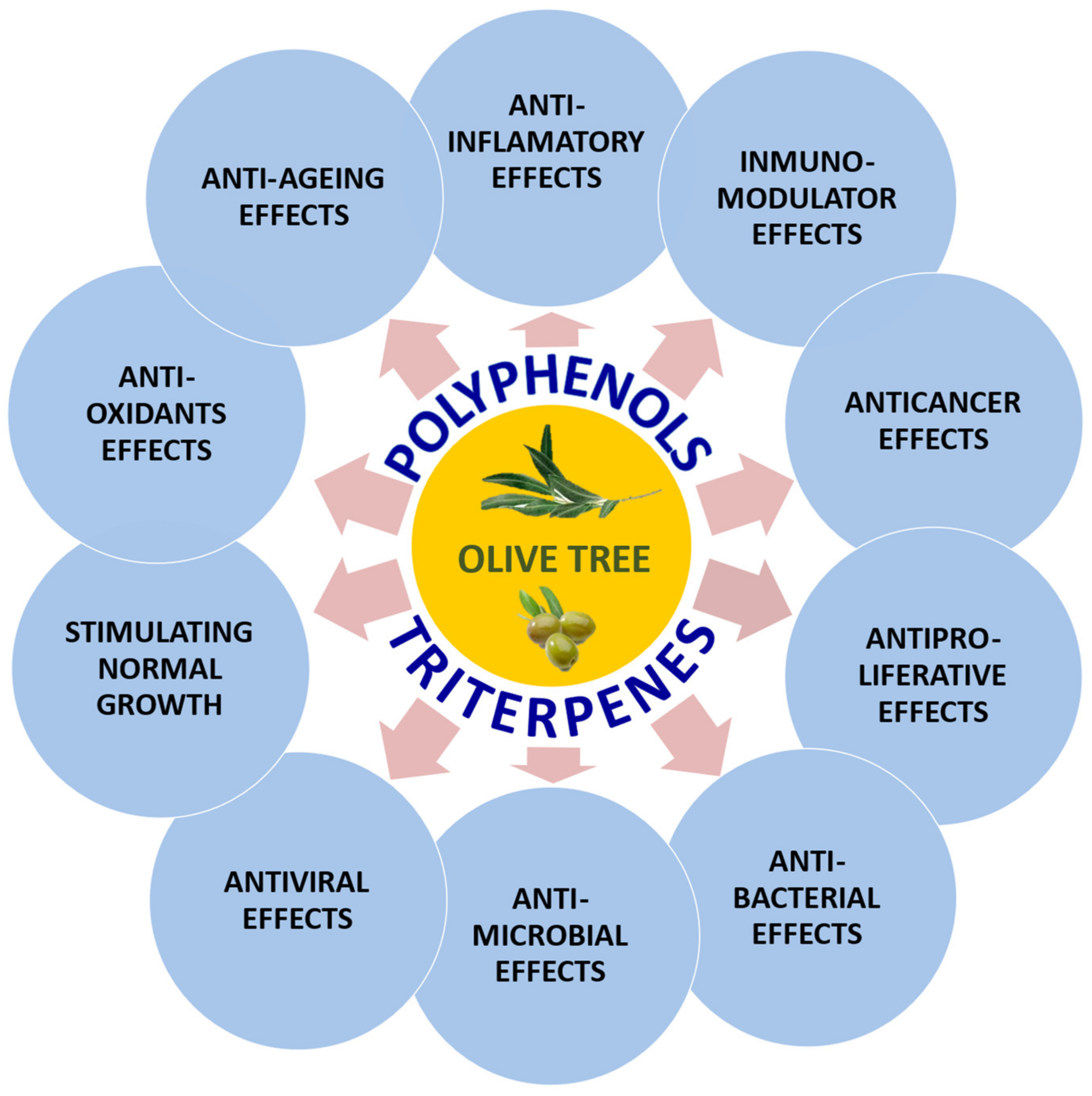 Molecules 27 02341 g001