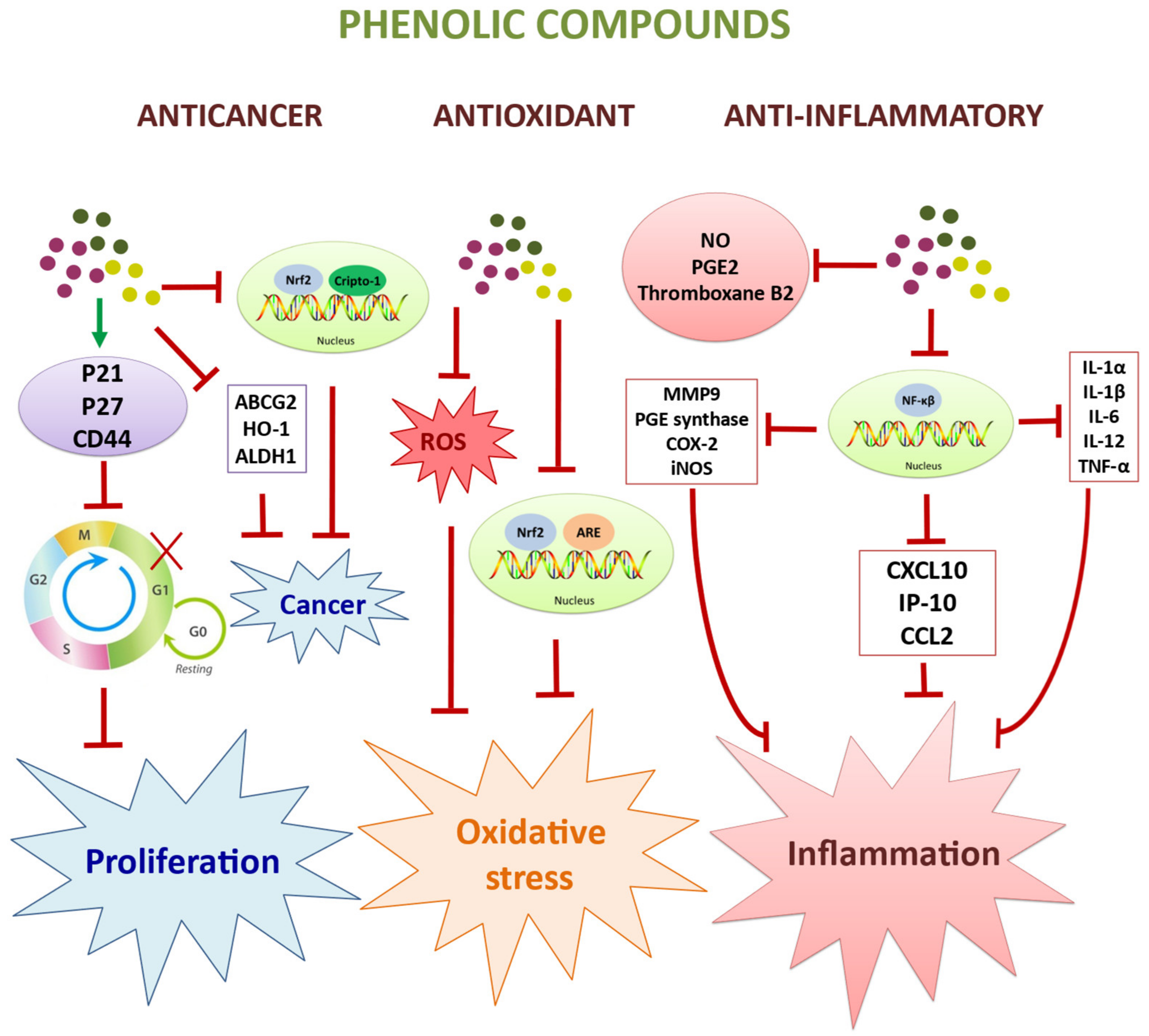 Molecules 27 02341 g003