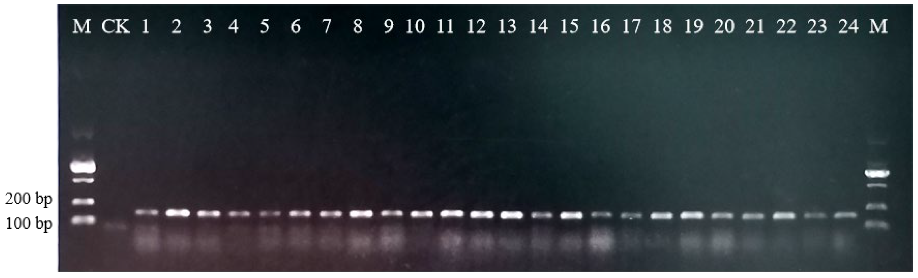 Molecules Free Full Text Development Of A Genus Universal Nucleotide Signature For The Identification And Supervision Of Ephedra Containing Products Html