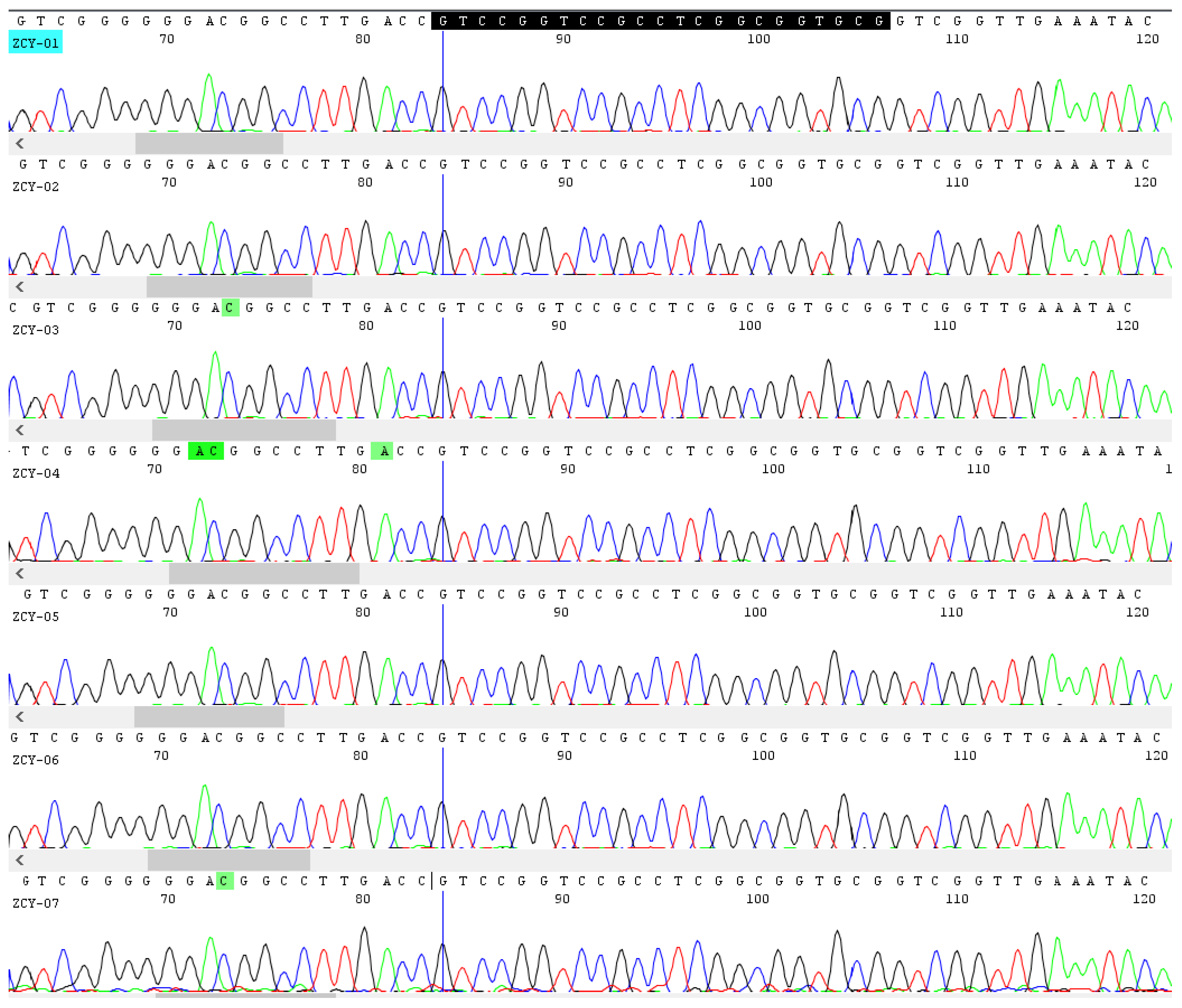 Molecules 27 02342 g002 550