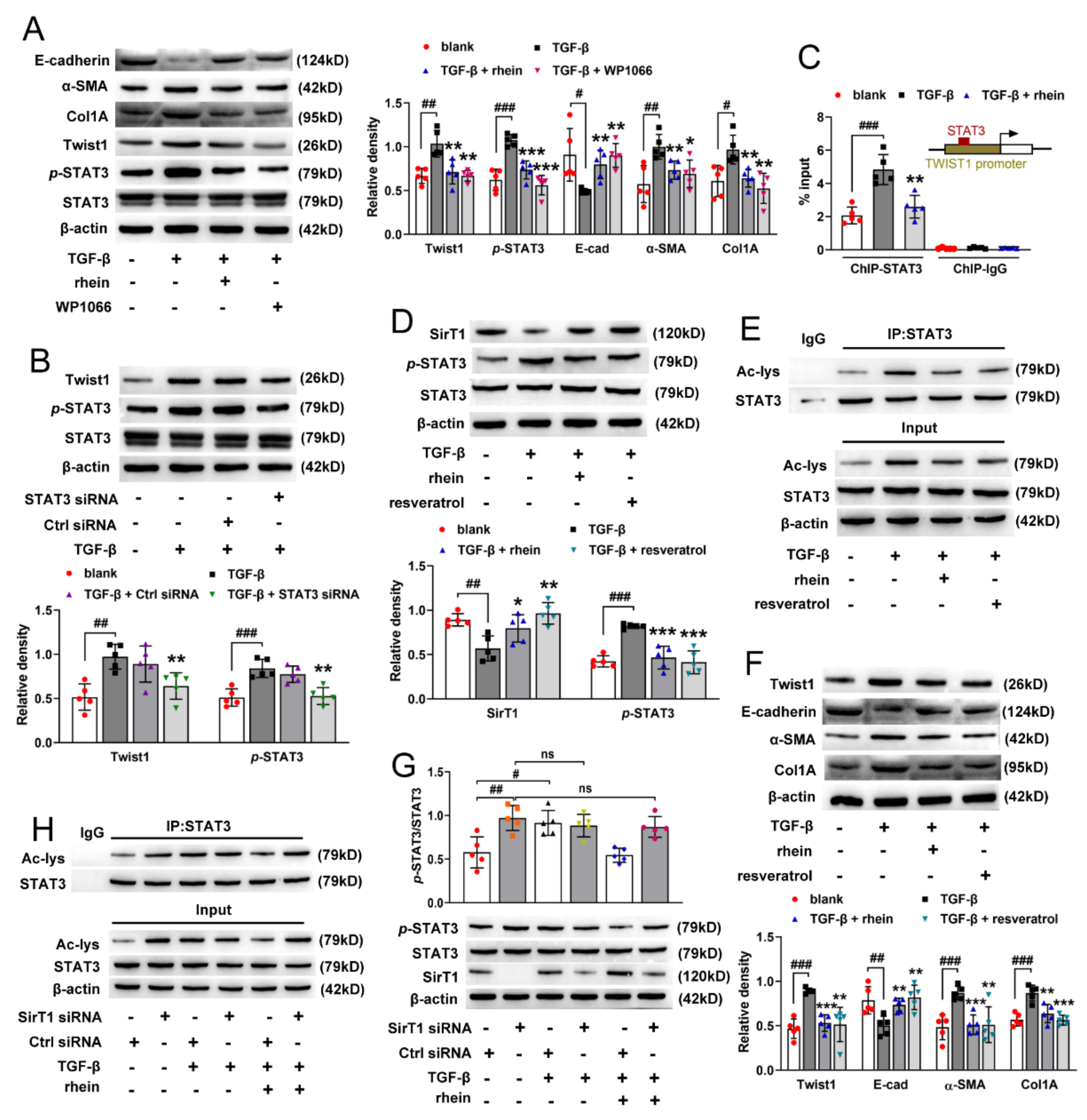 Molecules 27 02344 g005