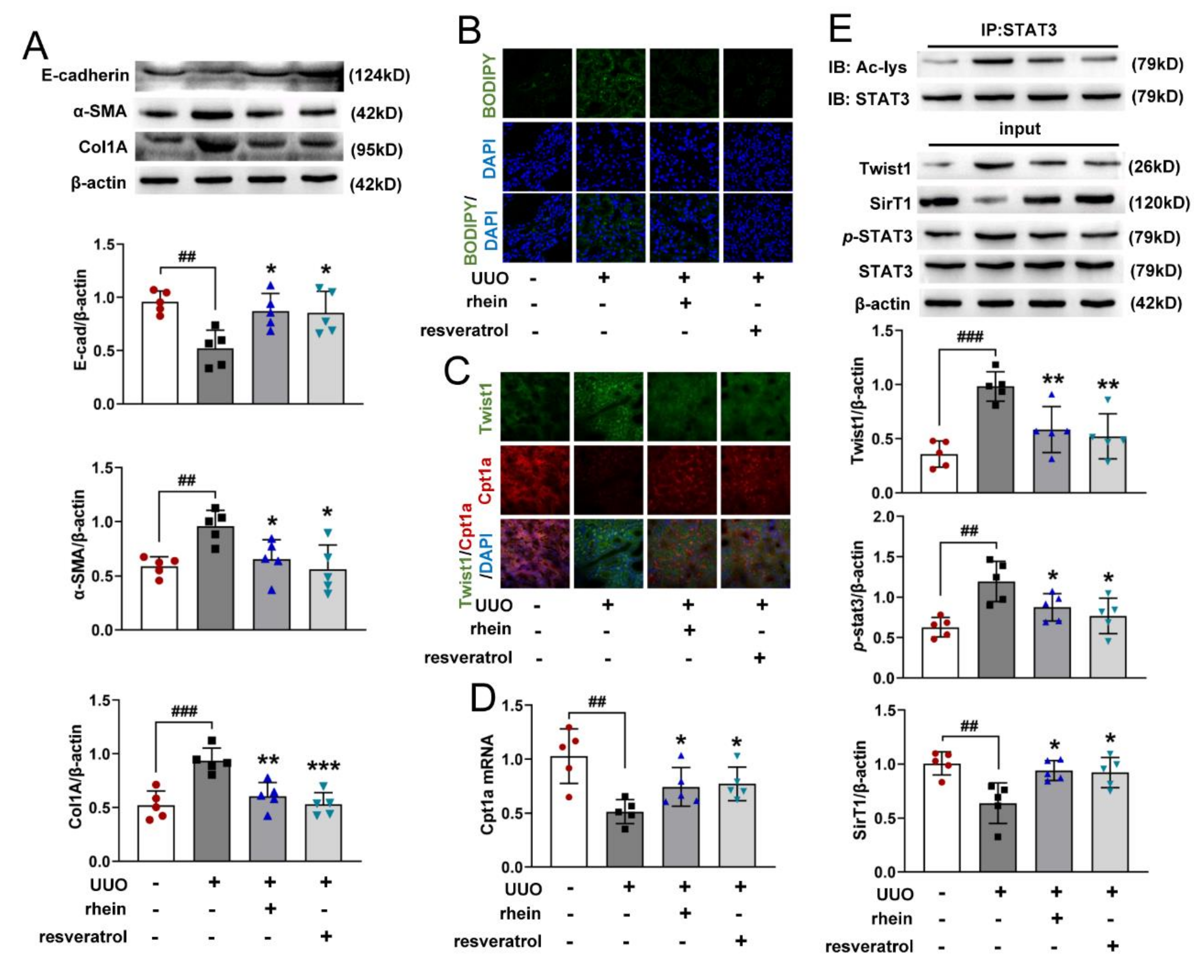 Molecules 27 02344 g006