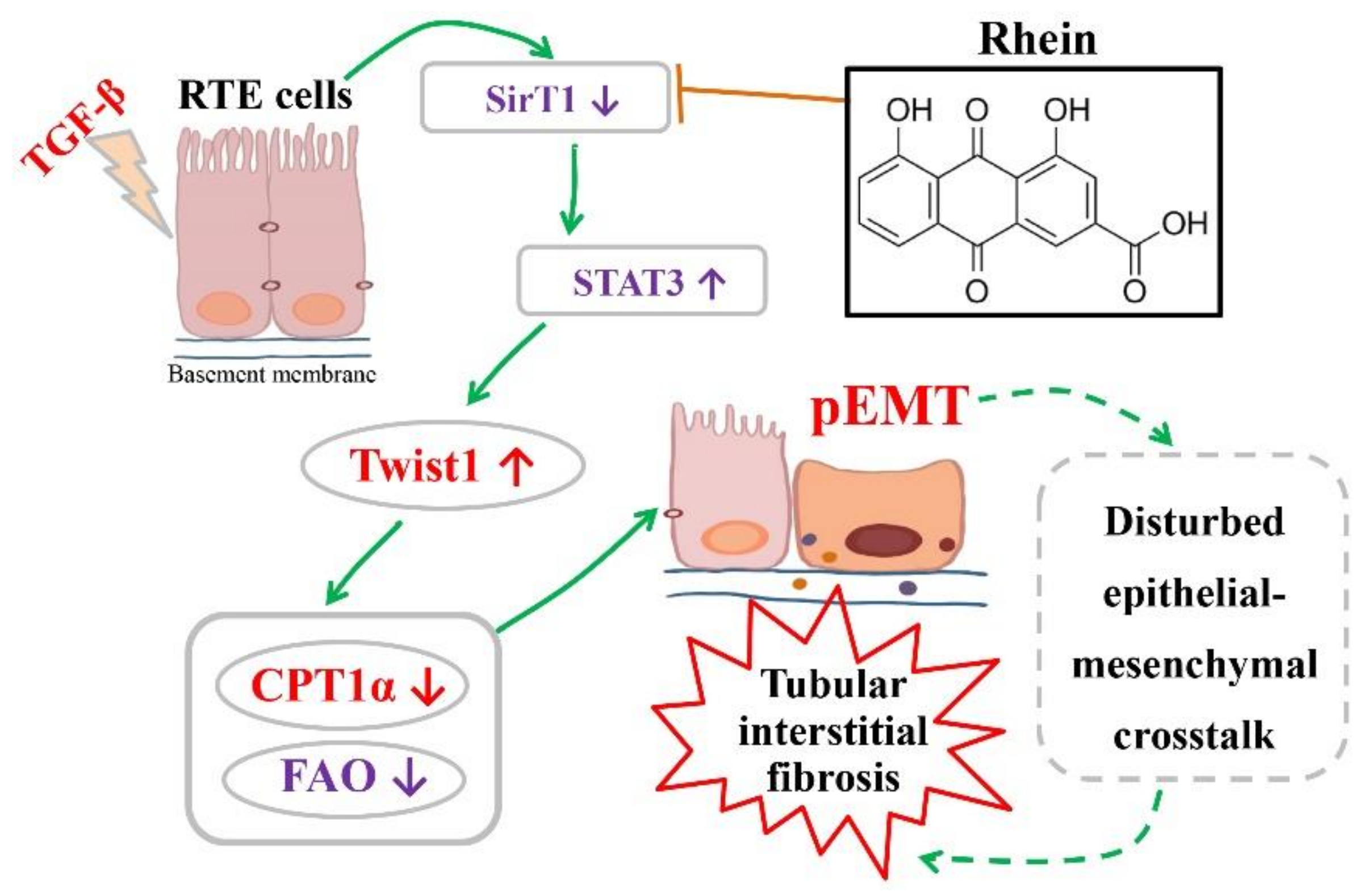 Molecules 27 02344 g007
