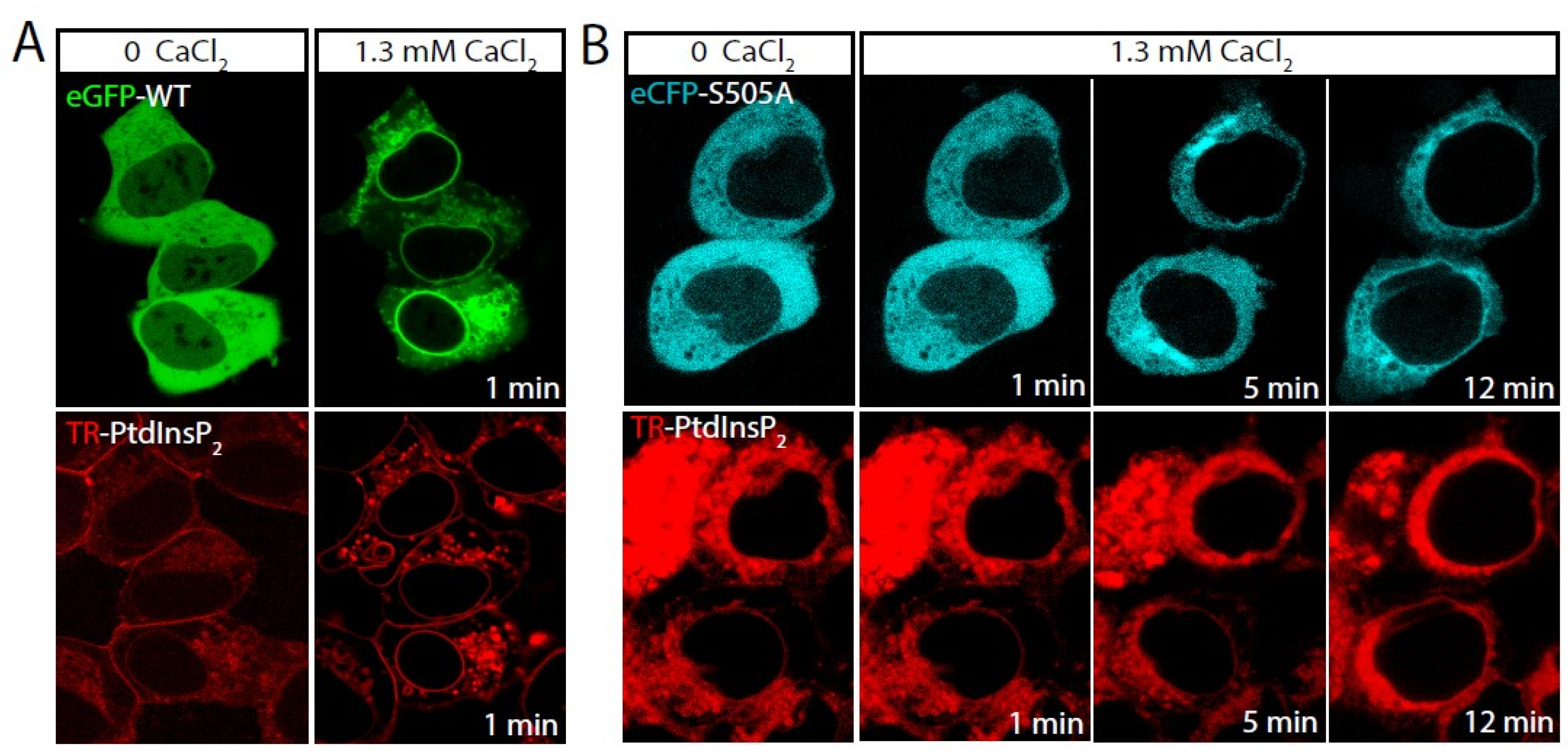 Molecules 27 02347 g001 550